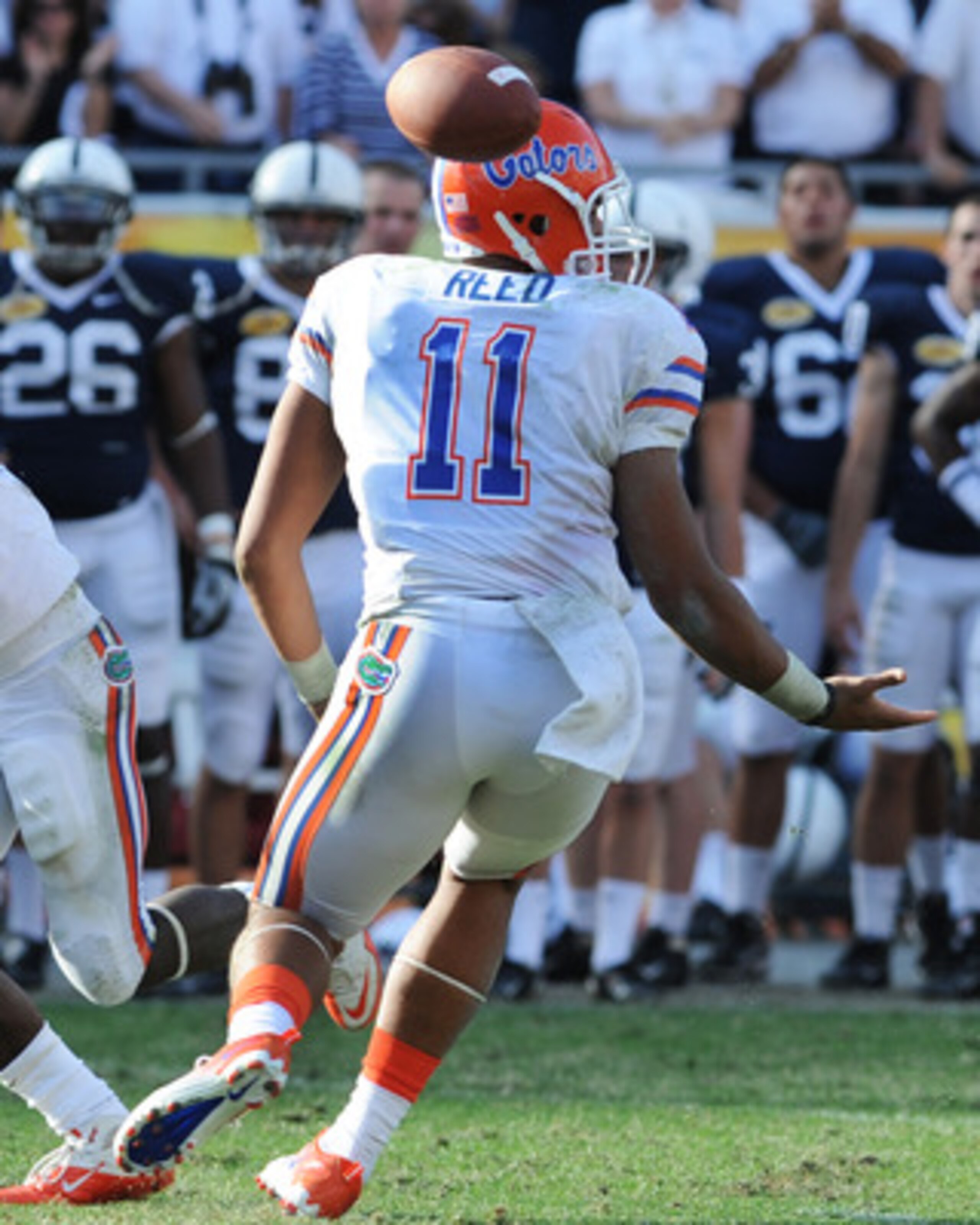 TAMPA, FL - JANUARY 1:  Quarterback Tyler Murphy #11 of the Florida Gators fumbles a snap against the Penn State Nittany Lions January 1, 2011 in the 25th Outback Bowl at Raymond James Stadium in Tampa, Florida.  (Photo by Al Messerschmidt/Getty Images)