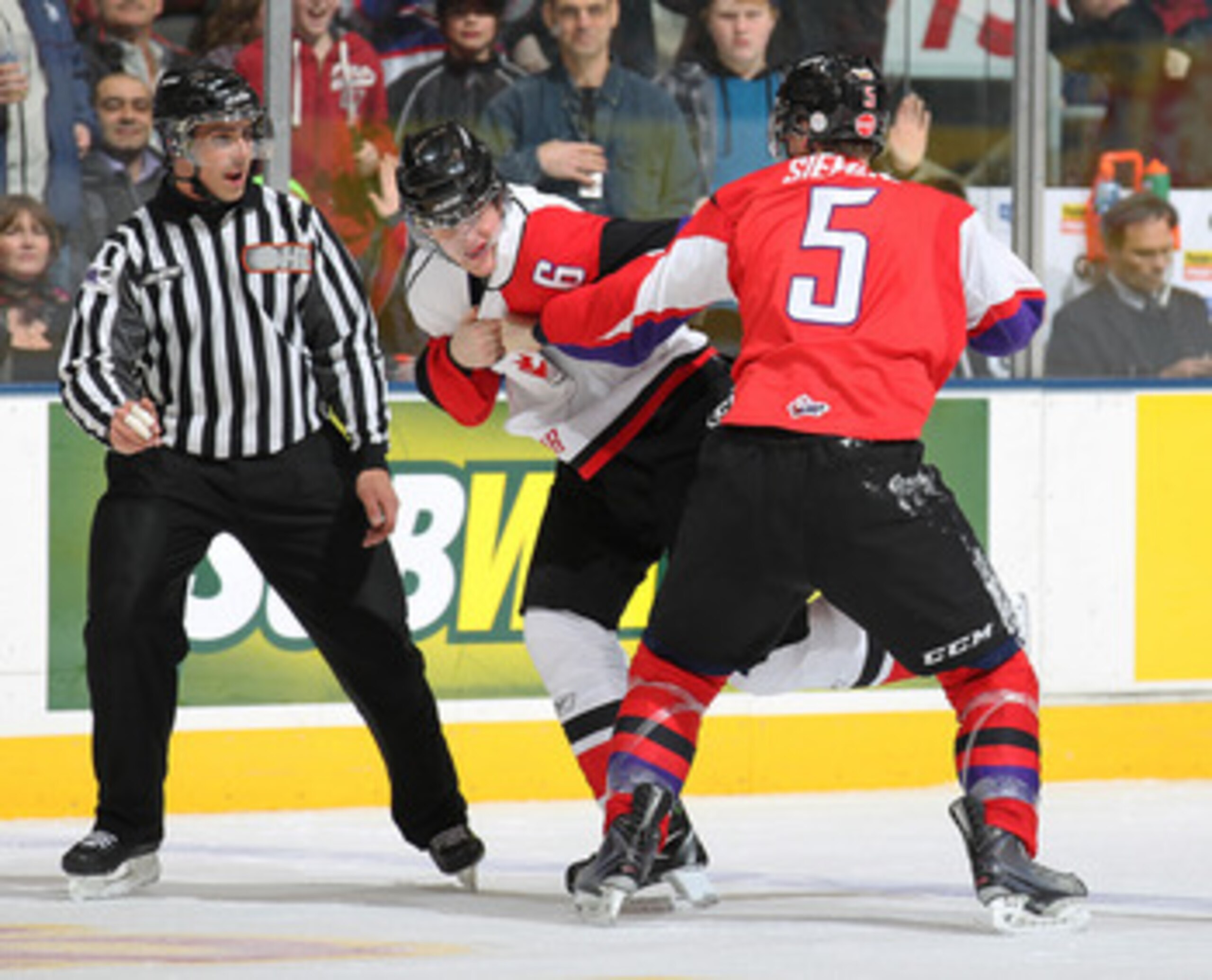 TORONTO, CAN - JANUARY 19:  Duncan Siemens #5 of Team Cherry fights against David Musil #6 of Team Orr in the 2011 Home Hardware Top Prospects game on January 19, 2011 at the Air Canada Centre in Toronto, Canada. Team Orr defeated Team Cherry 7-1. (Photo