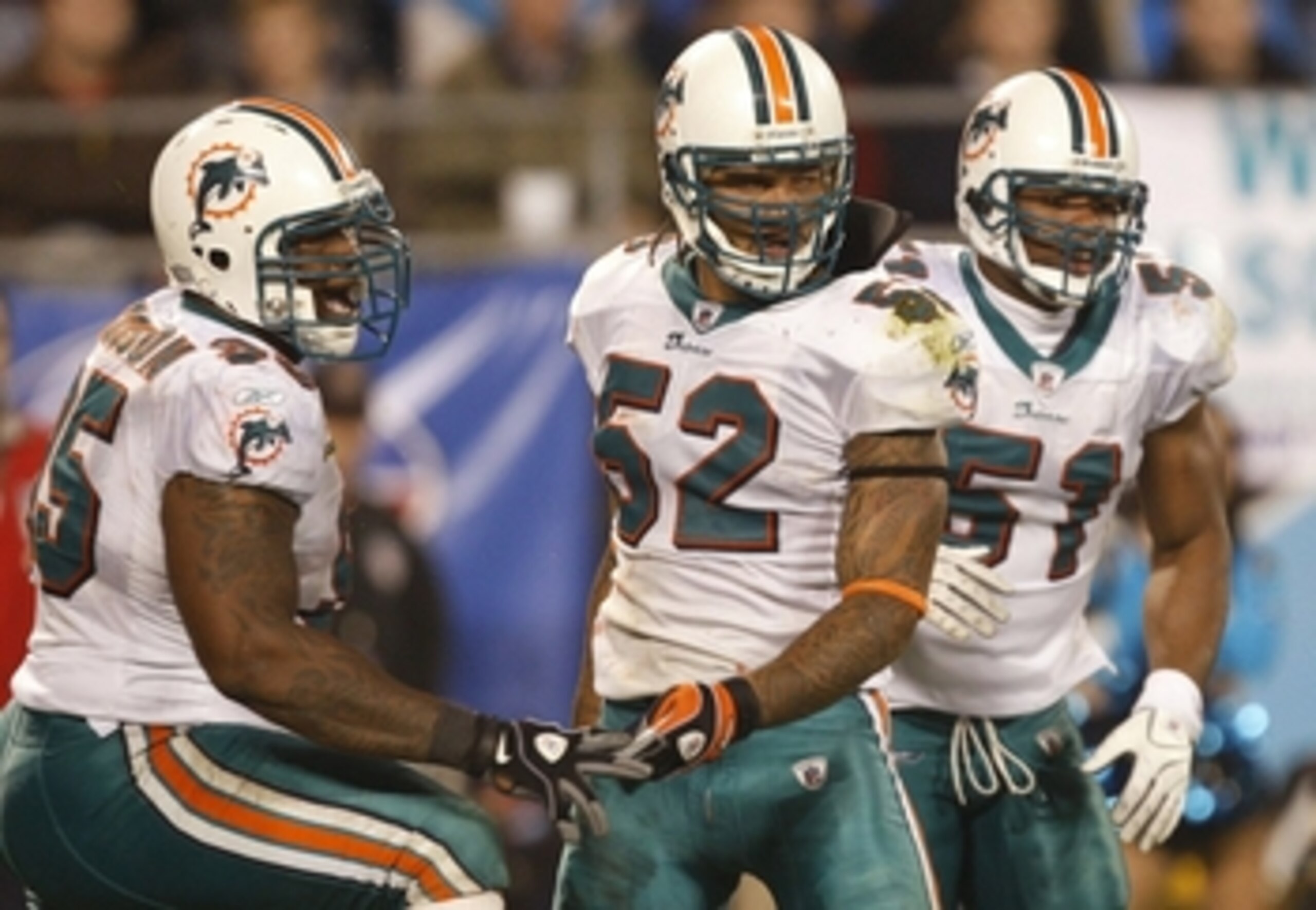 CHARLOTTE - NOVEMBER 19: (L-R) Jason Ferguson #95, Channing Crowder #52 and Akin Ayodele #51 of the Miami Dolphins celebrate a defensive stop against the Carolina Panthers at Bank of America Stadium on November 19, 2009 in Charlotte, North Carolina.  (Pho