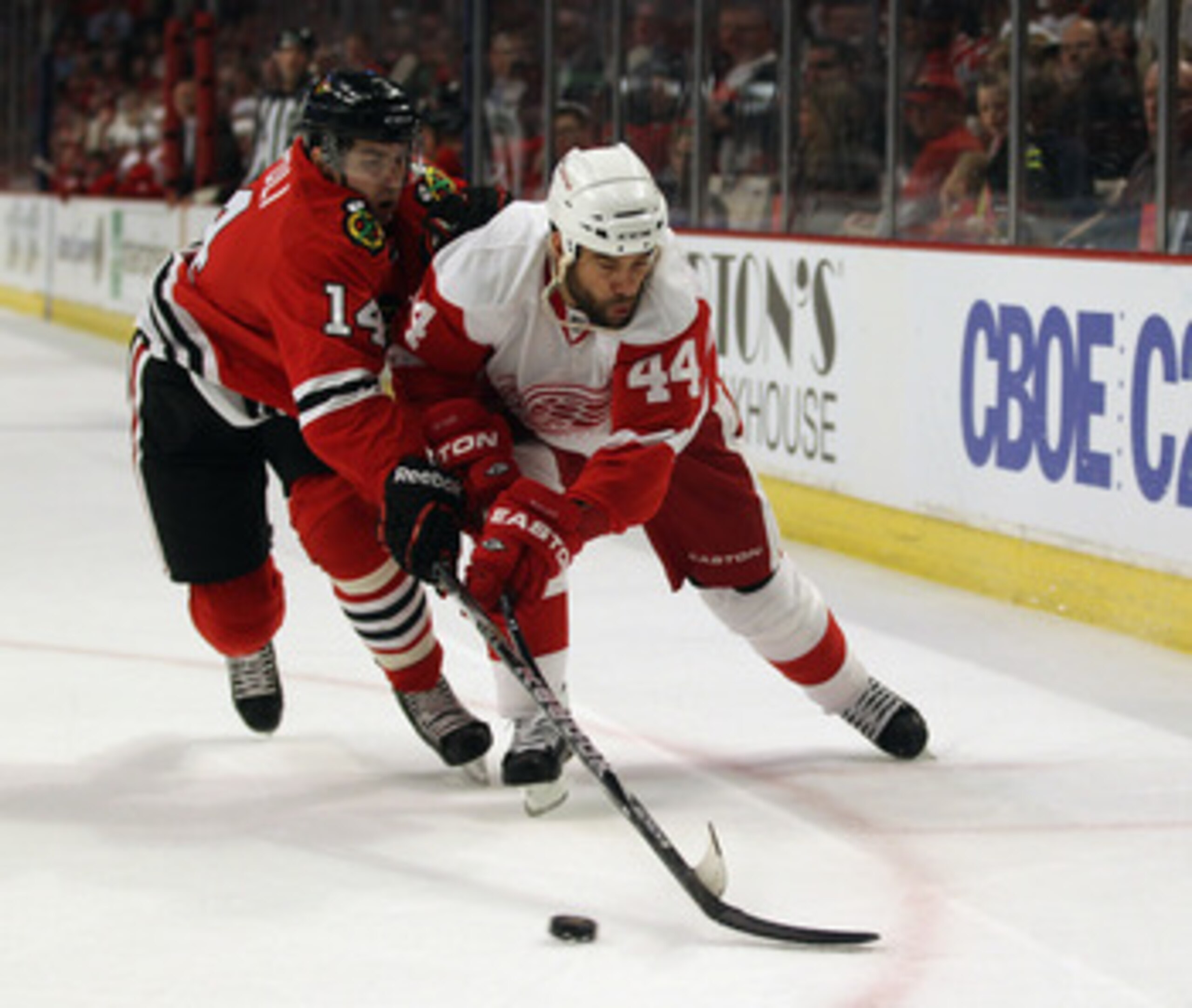 CHICAGO, IL - APRIL 10: Chris Campoli #14 of the Chicago Blackhawks and Todd Bertuzzi #44 of the Detroit Red Wings battle for the puck at the United Center on April 10, 2011 in Chicago, Illinois. (Photo by Jonathan Daniel/Getty Images)