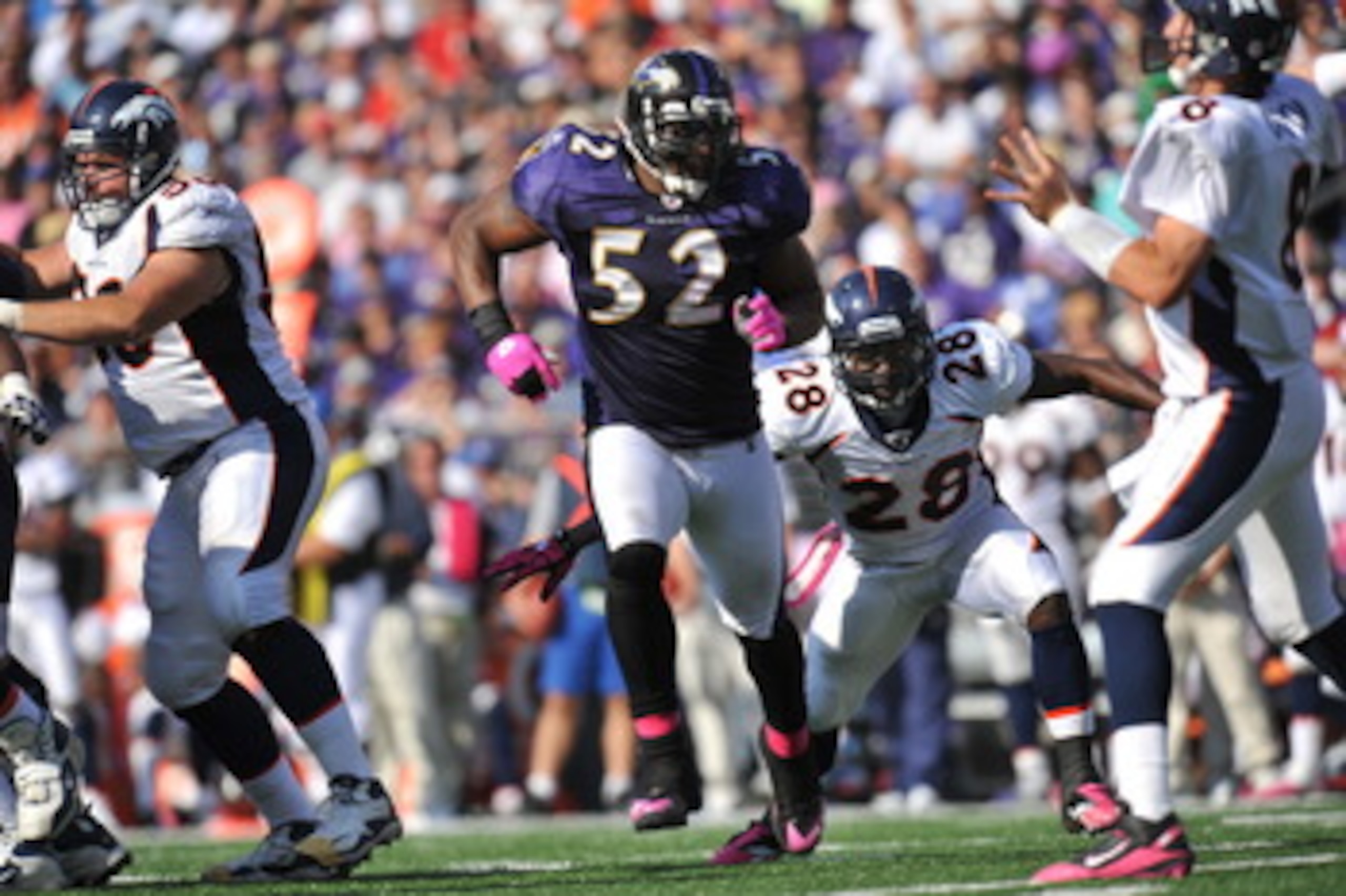 BALTIMORE, MD - OCTOBER 10:  Ray Lewis #52 of the Baltimore Ravens defends against the Denver Broncos at M&T Bank Stadium on October 10, 2010 in Baltimore, Maryland. Players wore pink in recognition of Breast Cancer Awareness Month. The Ravens defeated th