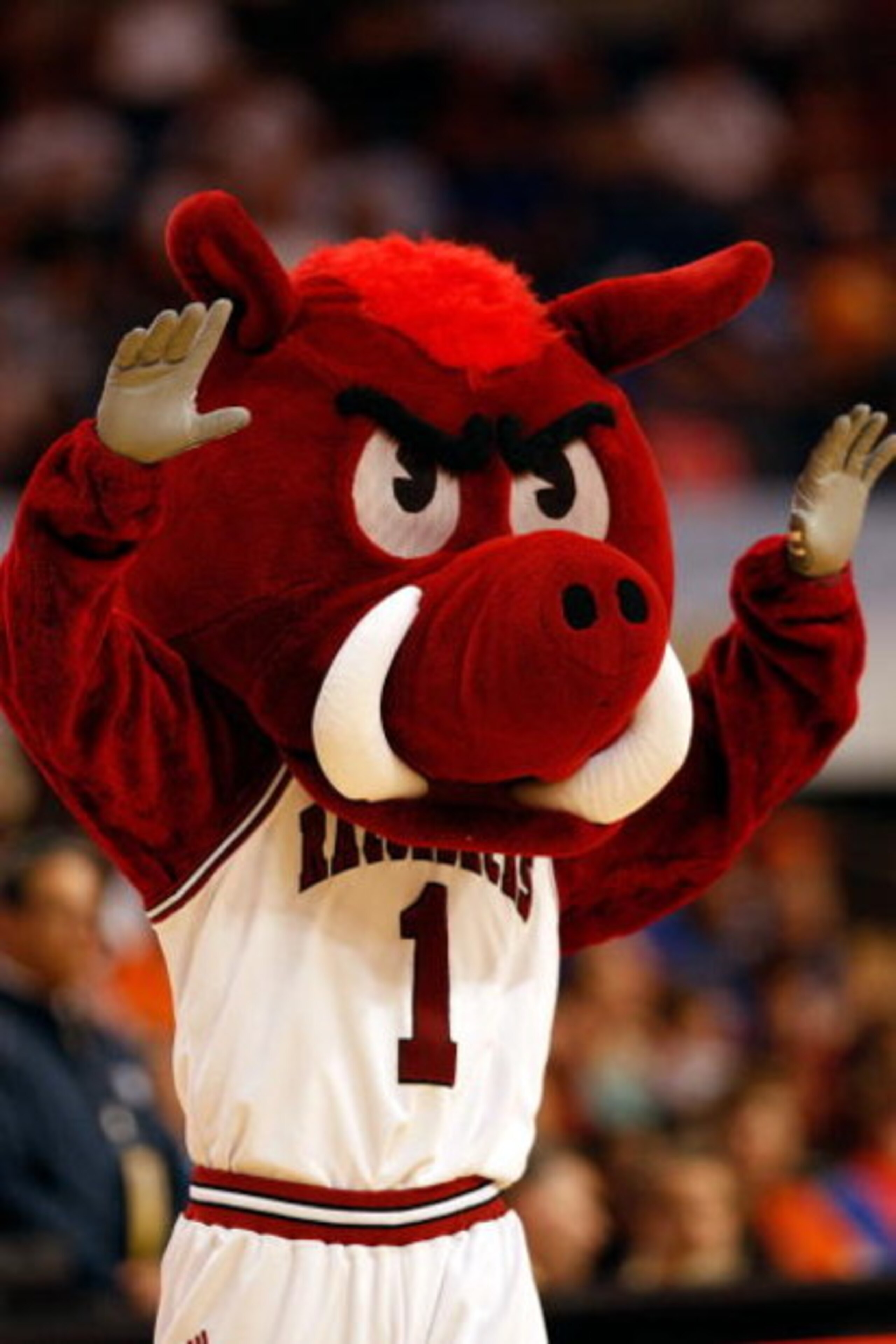 TAMPA, FL - MARCH 12:  The Mascot of the Arkansas Razorbacks cheers during the game against the Florida Gators during the first round of the SEC Men's Basketball Tournament on March 12, 2009 at The St. Pete Times Forum in Tampa, Florida.  (Photo by Chris 