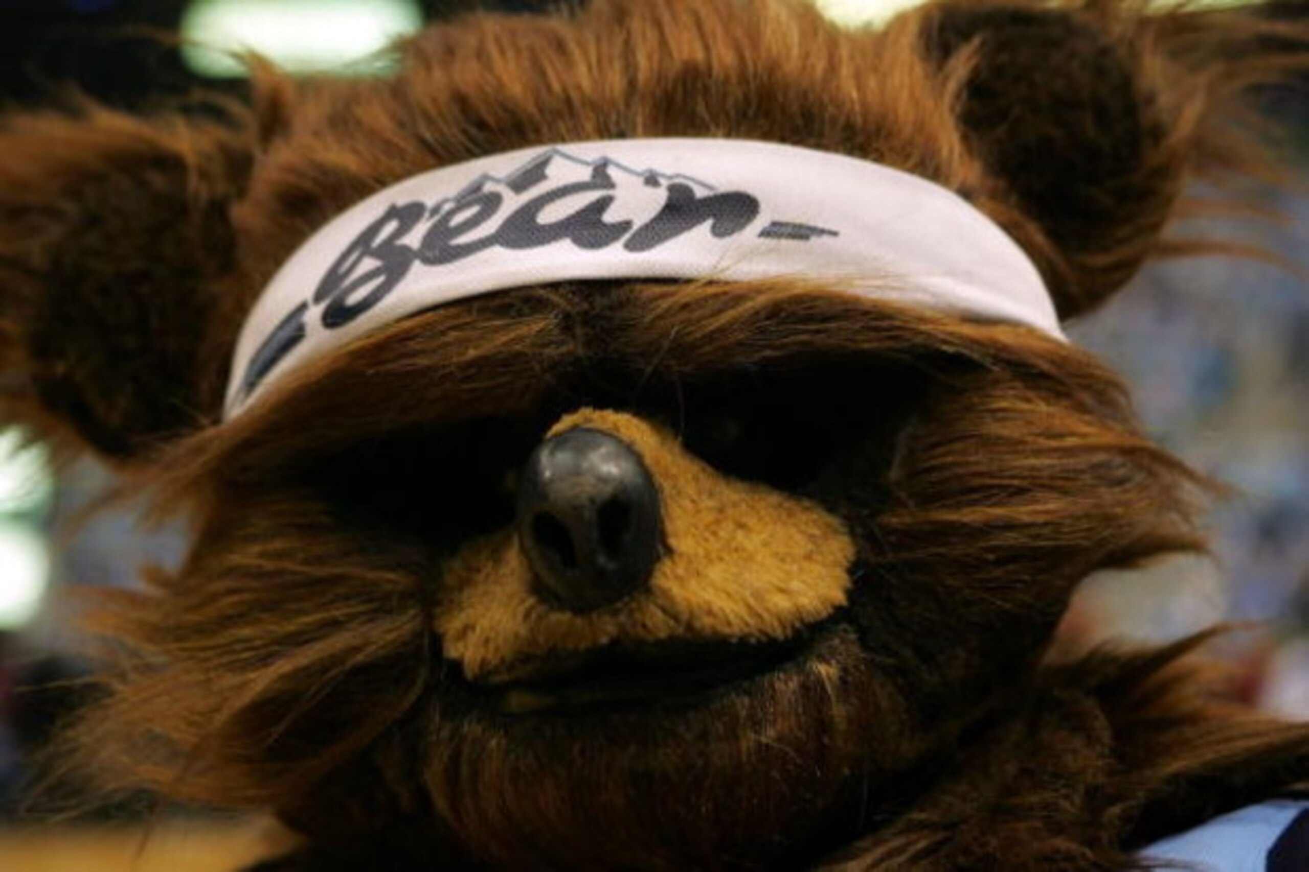 SALT LAKE CITY - MAY 26: The Utah Jazz mascot looks on during a break in the game against the San Antonio Spurs in Game Three of the Western Conference Finals during the 2007 NBA Playoffs at the EnergySolutions Arena on May 26, 2007 in Salt Lake City, Ut SALT LAKE CITY - MAY 26: The Utah Jazz mascot looks on during a break in the game against the San Antonio Spurs in Game Three of the Western Conference Finals during the 2007 NBA Playoffs at the EnergySolutions Arena on May 26, 2007 in Salt Lake City, Ut