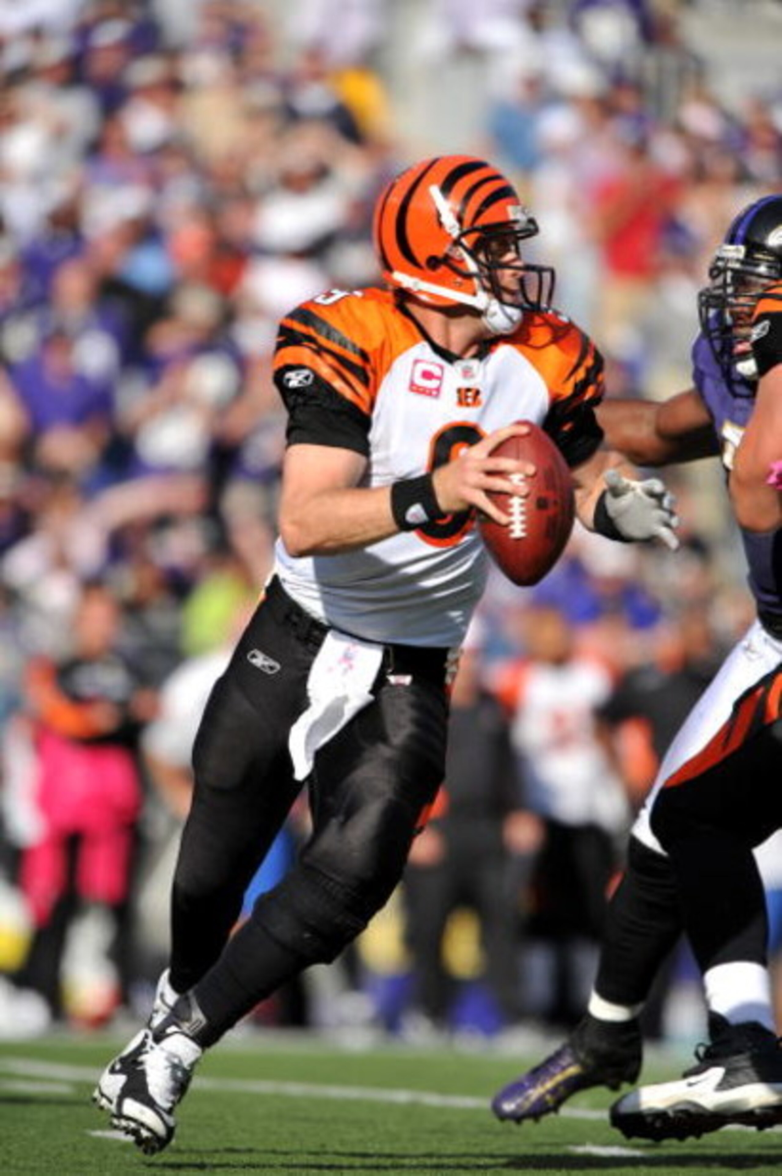 BALTIMORE - OCTOBER 11: Carson Palmer #9 of the Cincinnati Bengals looks to pass against the Baltimore Ravens at M&T Bank Stadium on October 11, 2009 in Baltimore, Maryland. The Bengals defeated the Ravens 17-14. (Photo by Larry French/Getty Images) BALTIMORE - OCTOBER 11: Carson Palmer #9 of the Cincinnati Bengals looks to pass against the Baltimore Ravens at M&T Bank Stadium on October 11, 2009 in Baltimore, Maryland. The Bengals defeated the Ravens 17-14. (Photo by Larry French/Getty Images)