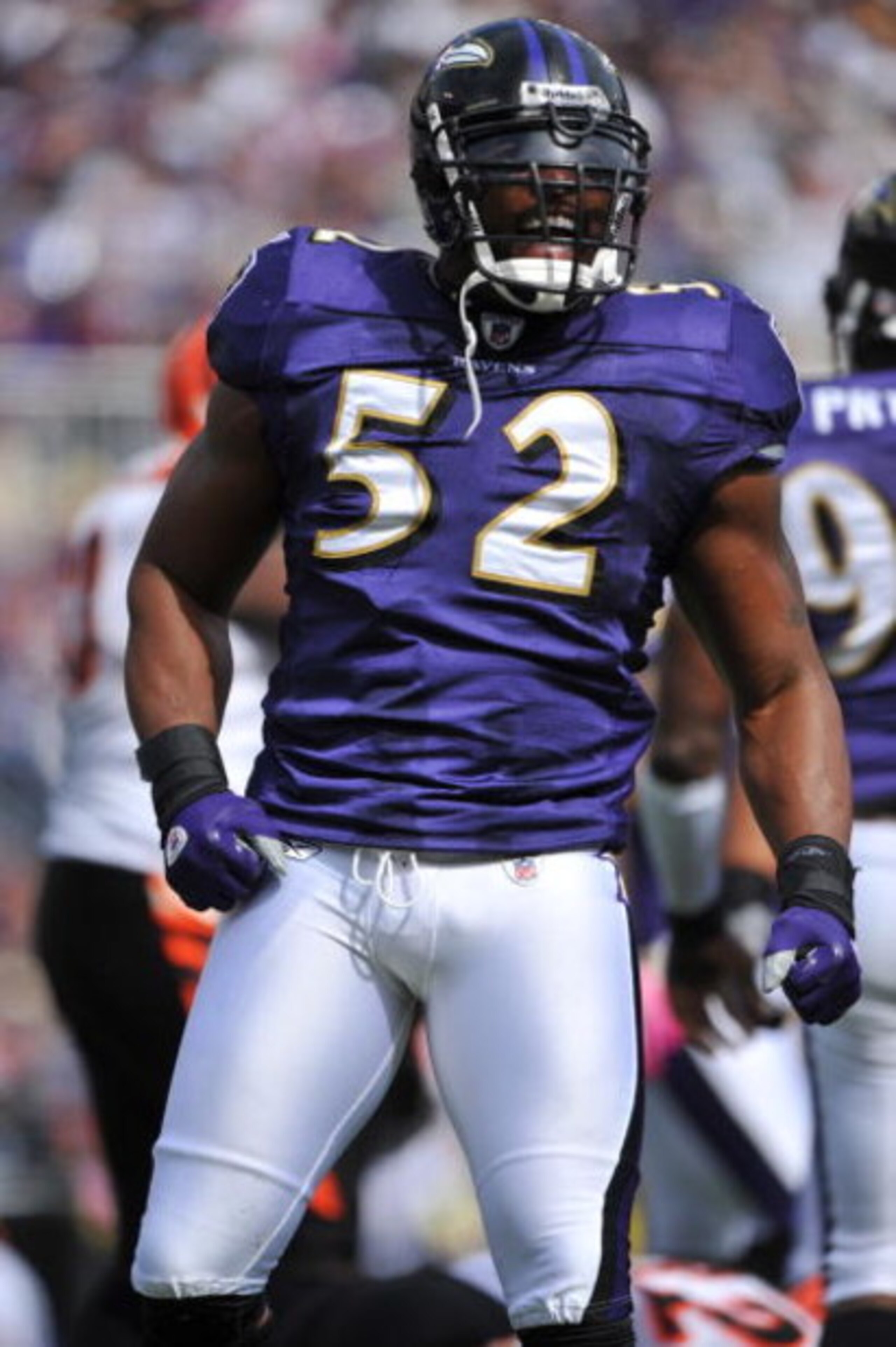 BALTIMORE - OCTOBER 11:  Ray Lewis #52 of the Baltimore Ravens celebrates a play during the game against the Cincinnati Bengals at M&T Bank Stadium on October 11, 2009 in Baltimore, Maryland. The Bengals defeated the Ravens 17-14. (Photo by Larry French/G
