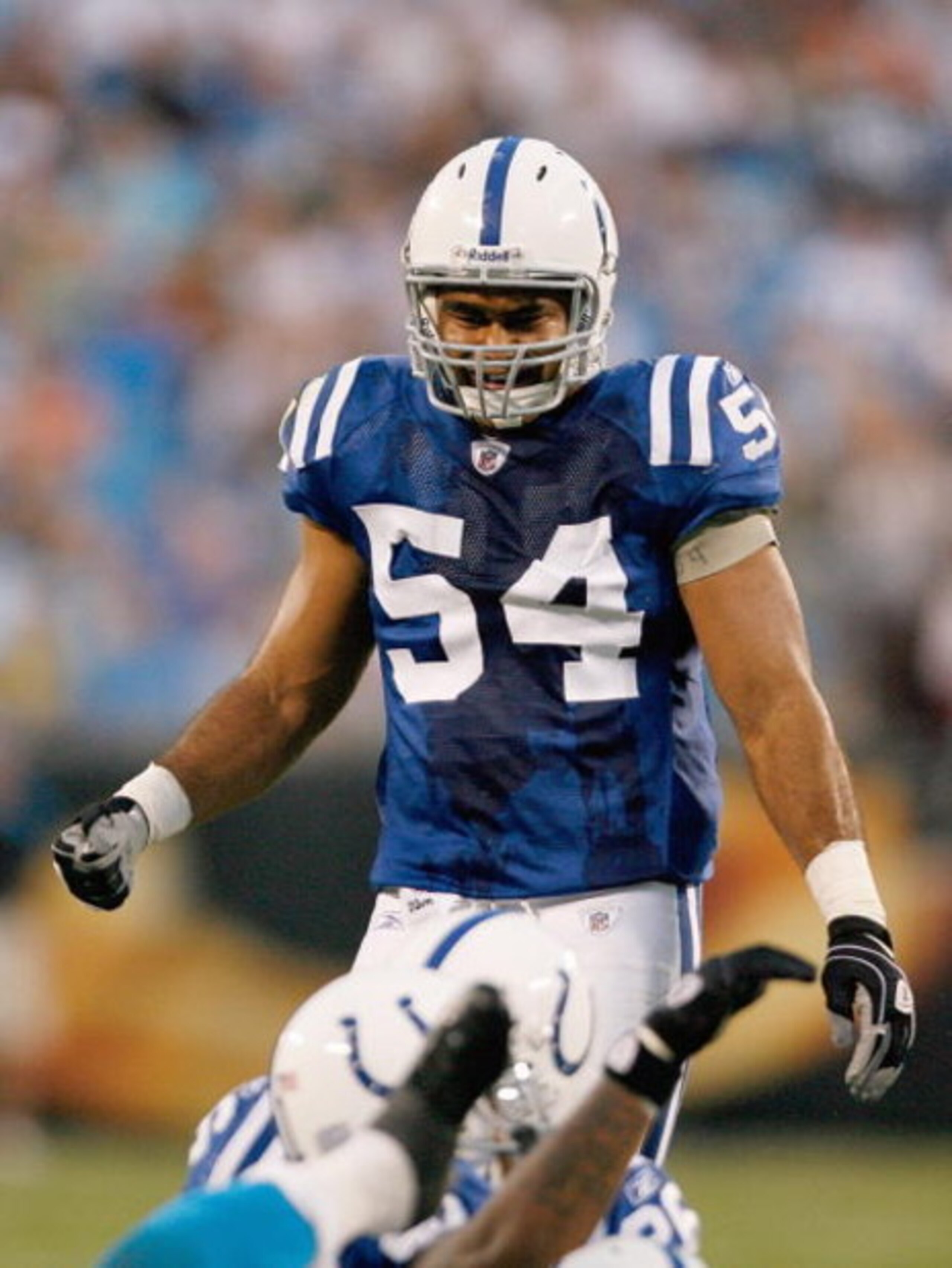 CHARLOTTE, NC - AUGUST 09:  Freddy Keiaho #54 of the Indianapolis Colts watches the action on the field during the game against the Carolina Panthers at Bank of America Stadium on August, 9, 2008 in Charlotte, North Carolina.  (Photo by Kevin C. Cox/Getty