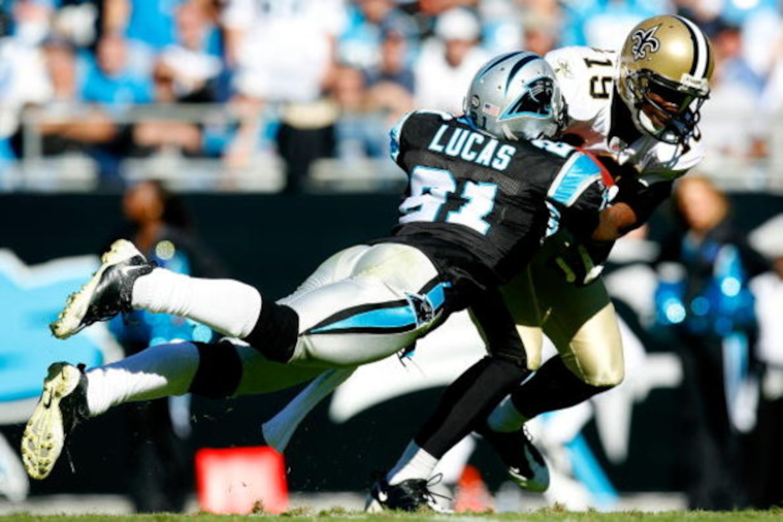 CHARLOTTE, NC - OCTOBER 19:  Ken Lucas #21 of the Carolina Panthers tackles Devery Henderson #19 of the New Orleans Saints during the game at Bank of America Stadium on October 19, 2008 in Charlotte, North Carolina.  (Photo by Kevin C. Cox/Getty Images)