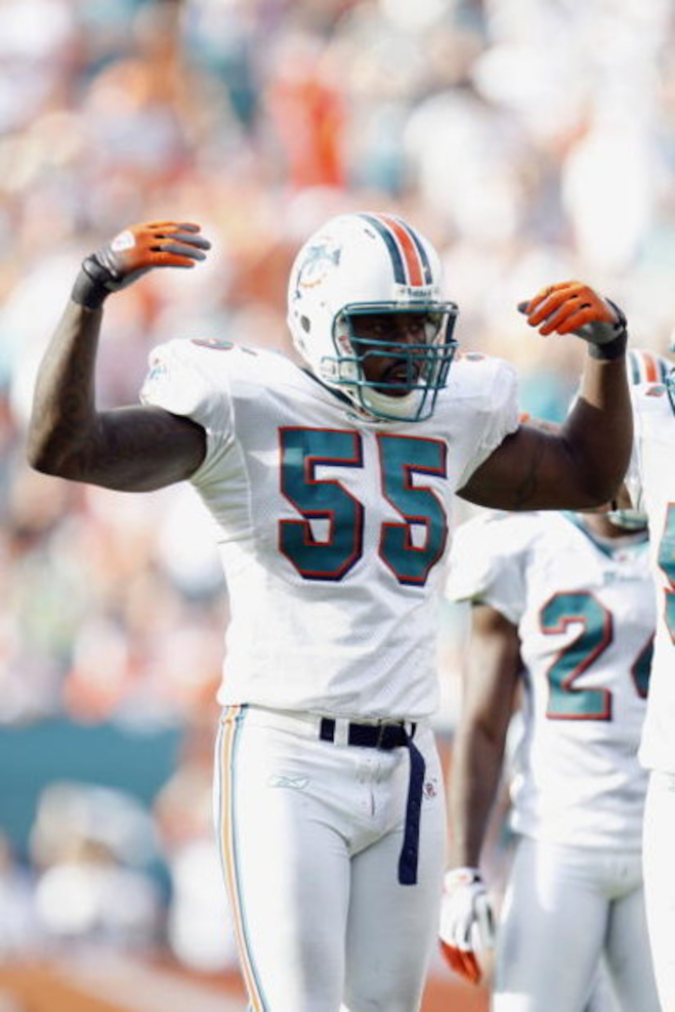 MIAMI - JANUARY 4:  Joey Porter #55 of the Miami Dolphins gestures during a AFC Wild Card playoff game against the Baltimore Ravens on January 4, 2009 at Dolphin Stadium in Miami, Florida. (Photo by Gregory Shamus/Getty Images)
