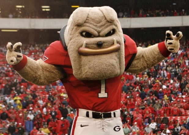 ATHENS, GA - NOVEMBER 29:  Georgia Bulldogs mascot Hairy Dawg poses before the game against the Georgia Tech Yellow Jackets at Sanford Stadium on November 29, 2008 in Athens, Georgia.  The Yellow Jackets defeated the Bulldogs 45-42.  (Photo by Mike Zarril