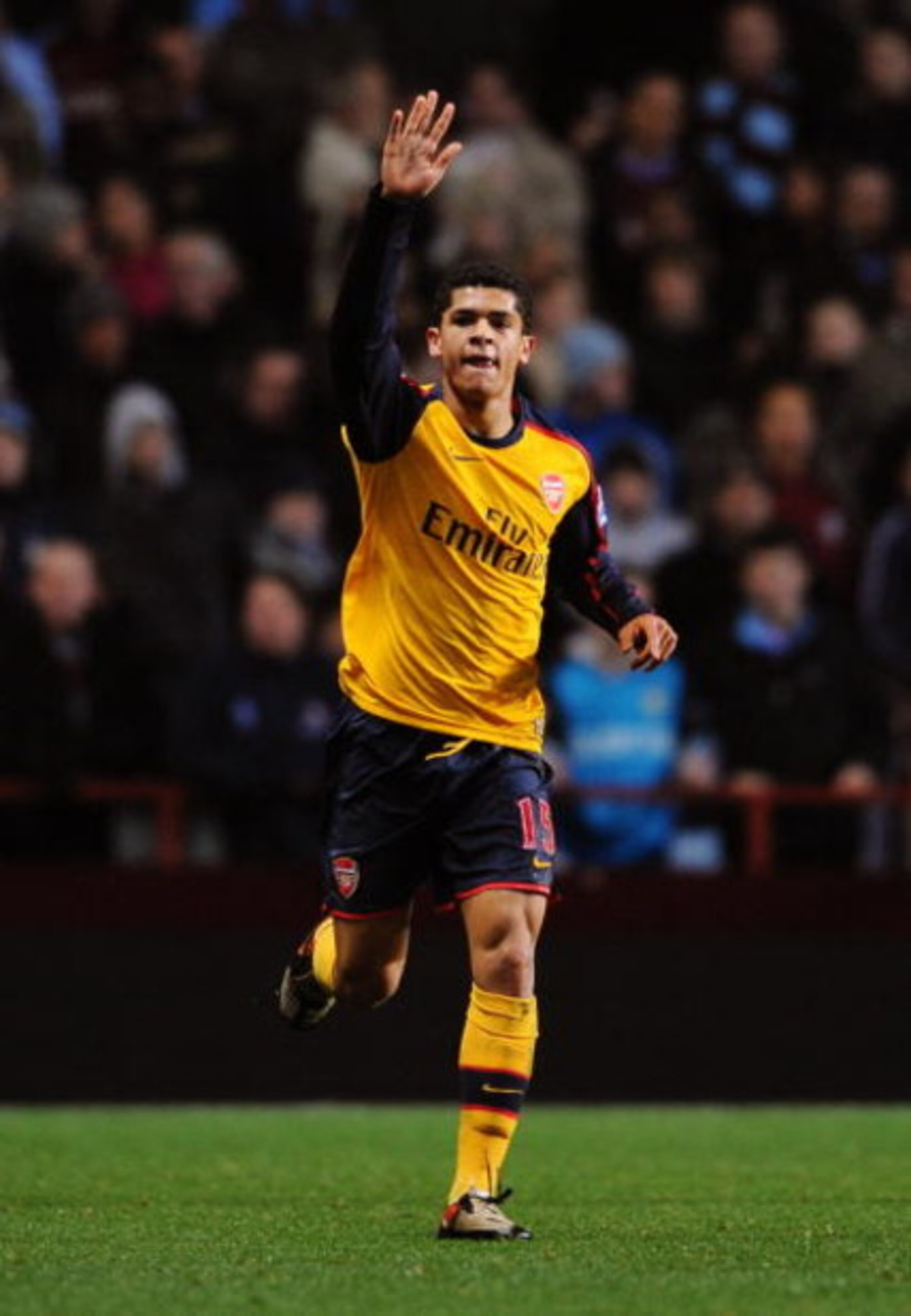 BIRMINGHAM, UNITED KINGDOM - DECEMBER 26:  Denilson of Arsenal celebrates scoring his teams first goal during the Barclays Premier League match between Aston Villa and Arsenal at Villa Park on December 26, 2008 in Birmingham, England.  (Photo by Clive Mas