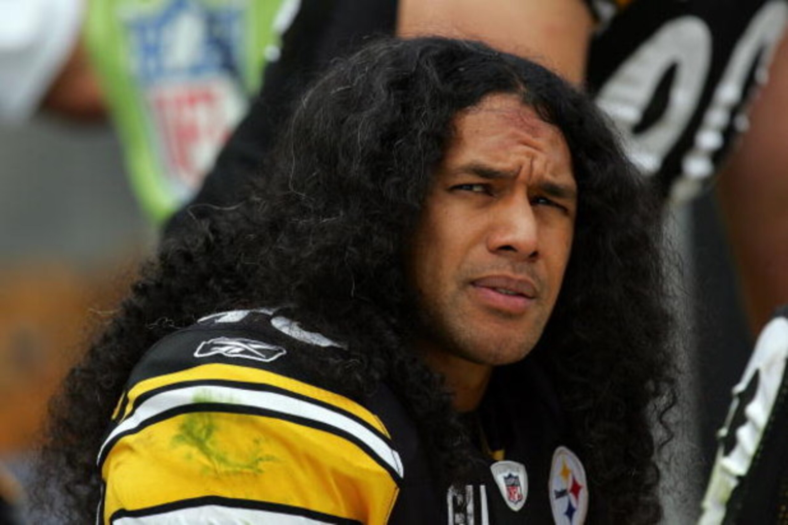 PITTSBURGH - SEPTEMBER 07:  Safety Troy Polamalu #43 of the Pittsburgh Steelers during play against the Houston Texans on September 7, 2008 at Heinz Field in Pittsburgh, Pennsylvania.  (Photo by Ronald Martinez/Getty Images)