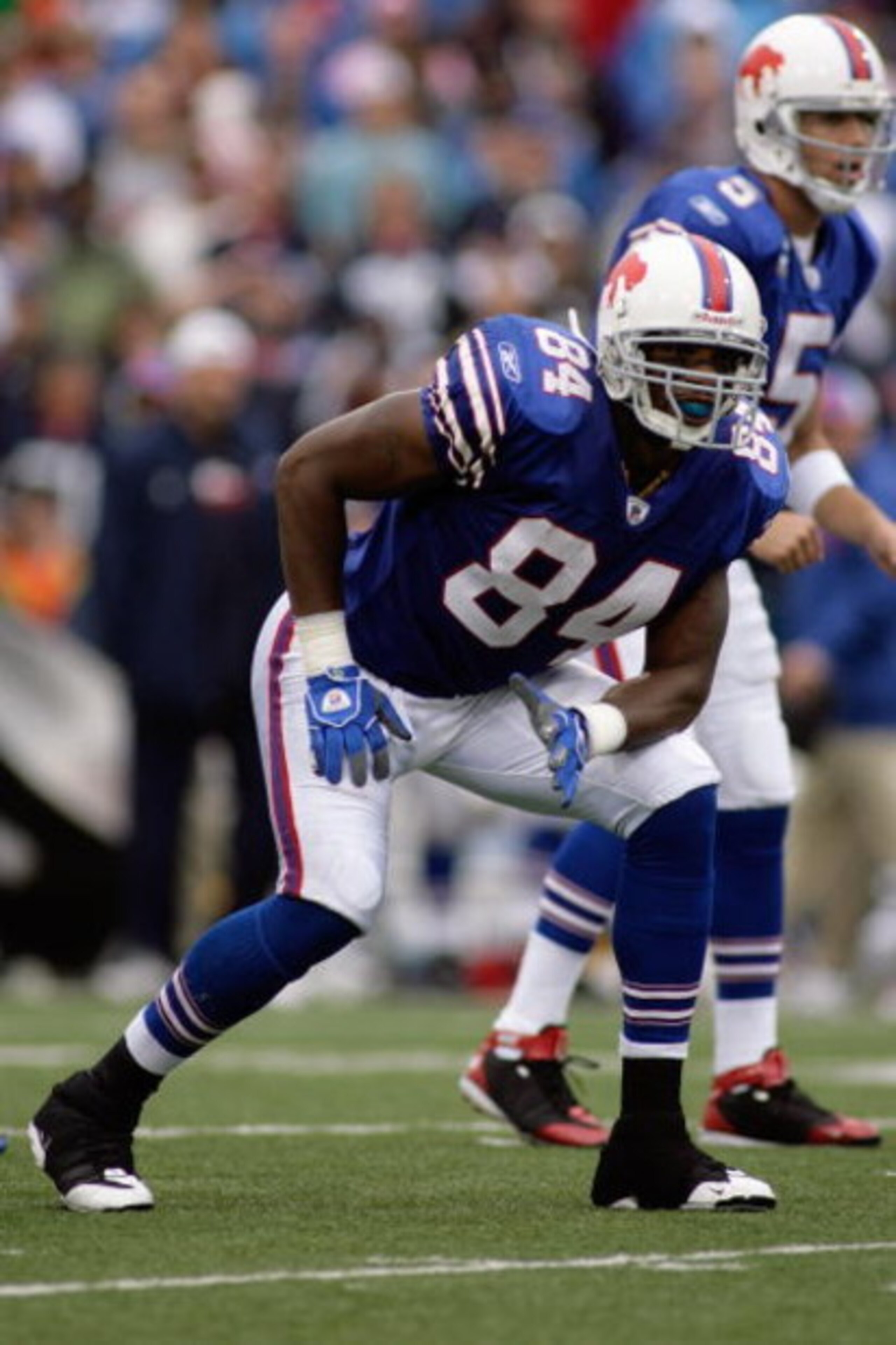 ORCHARD PARK, NY - SEPTEMBER 21:  Robert Royal #84 of the Buffalo Bills sets during the game against the Oakland Raiders on September 21, 2008 at Ralph Wilson Stadium in Orchard Park, New York. (Photo by Rick Stewart/Getty Images)