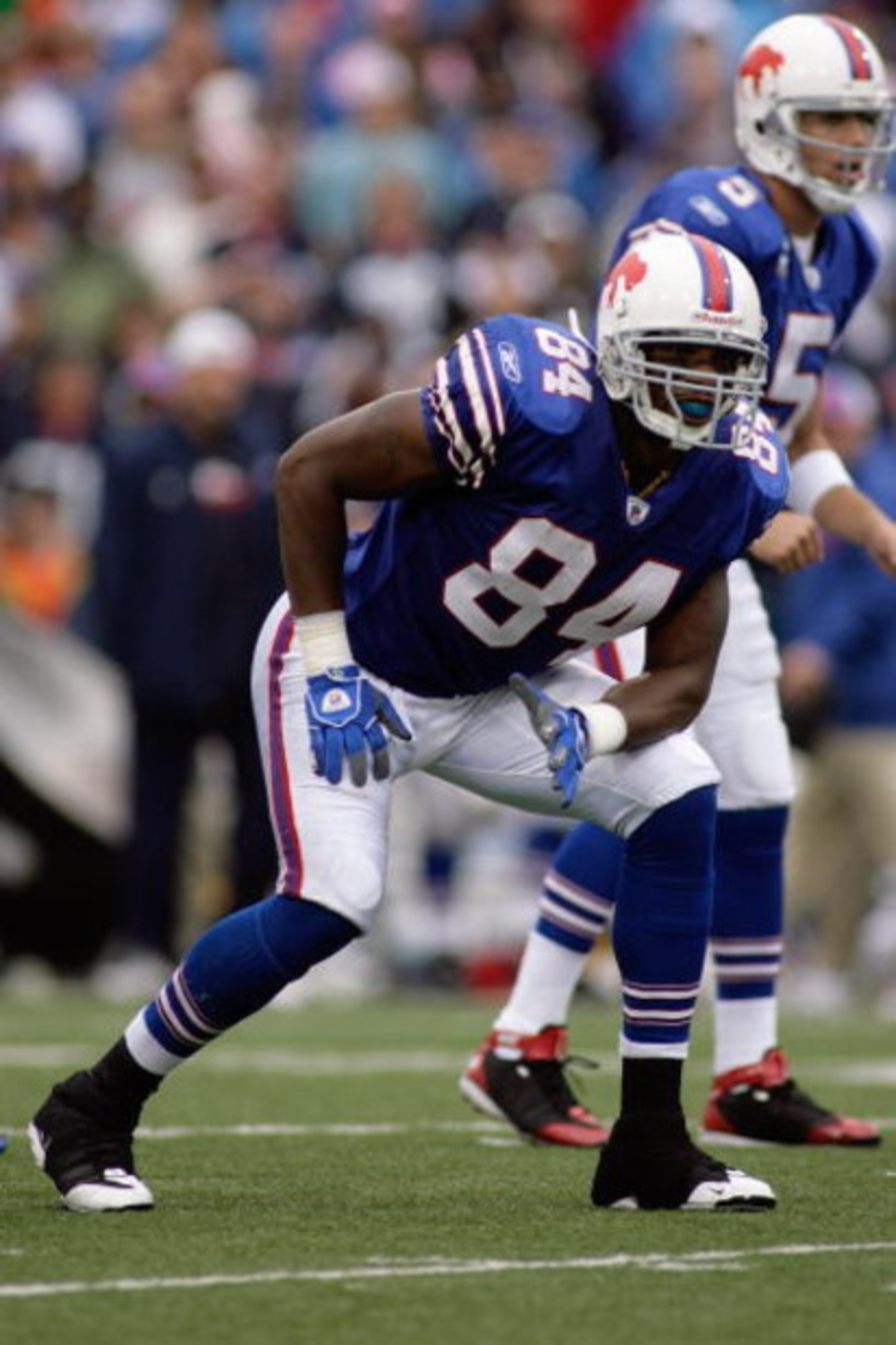 ORCHARD PARK, NY - SEPTEMBER 21:  Robert Royal #84 of the Buffalo Bills sets during the game against the Oakland Raiders on September 21, 2008 at Ralph Wilson Stadium in Orchard Park, New York. (Photo by Rick Stewart/Getty Images)