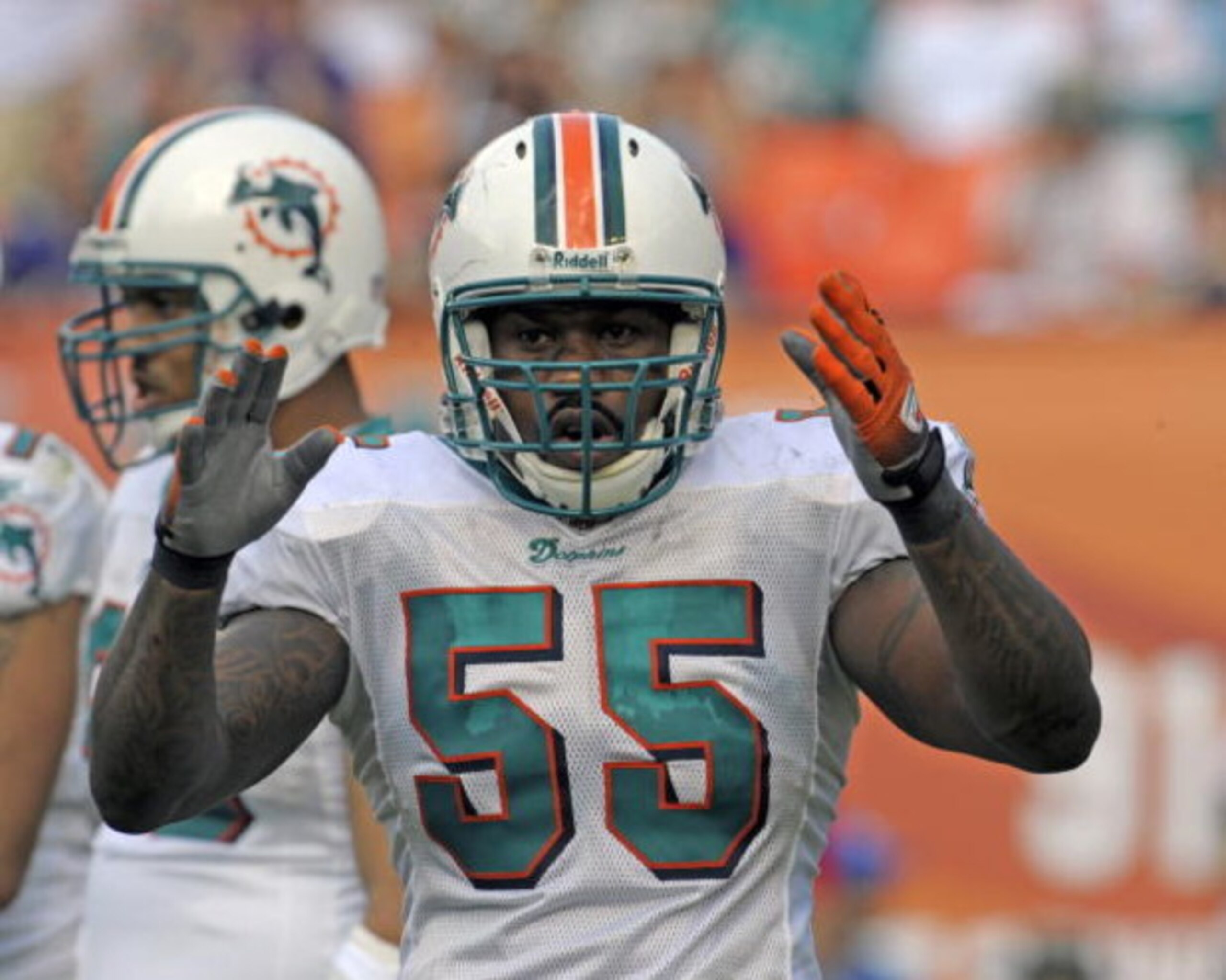 MIAMI, FL - JANUARY 4:  Linebacker Joey Porter #55 of the Miami Dolphins sets on defense against the Baltimore Ravens in an NFL Wildcard Playoff Game at Dolphins Stadium on January 4, 2009 in Miami, Florida.  (Photo by Al Messerschmidt/Getty Images) 