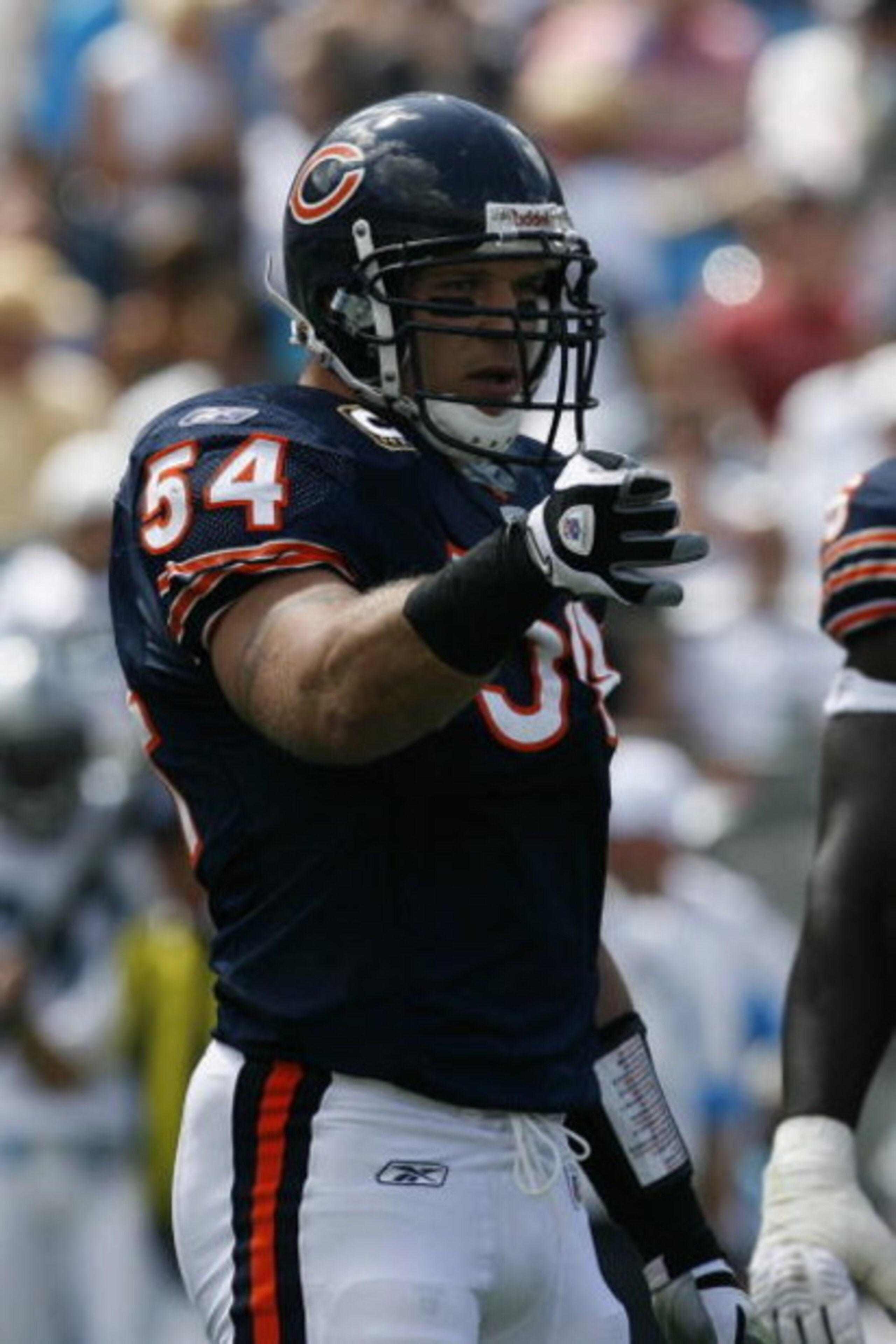 CHARLOTTE, NC - SEPTEMBER 14:  Brian Urlacher #54 of the Chicago Bears looks on during the game against the Carolina Panthers at Bank of America Stadium on September 14, 2008 in Charlotte, North Carolina. (Photo by Kevin C. Cox/Getty Images)