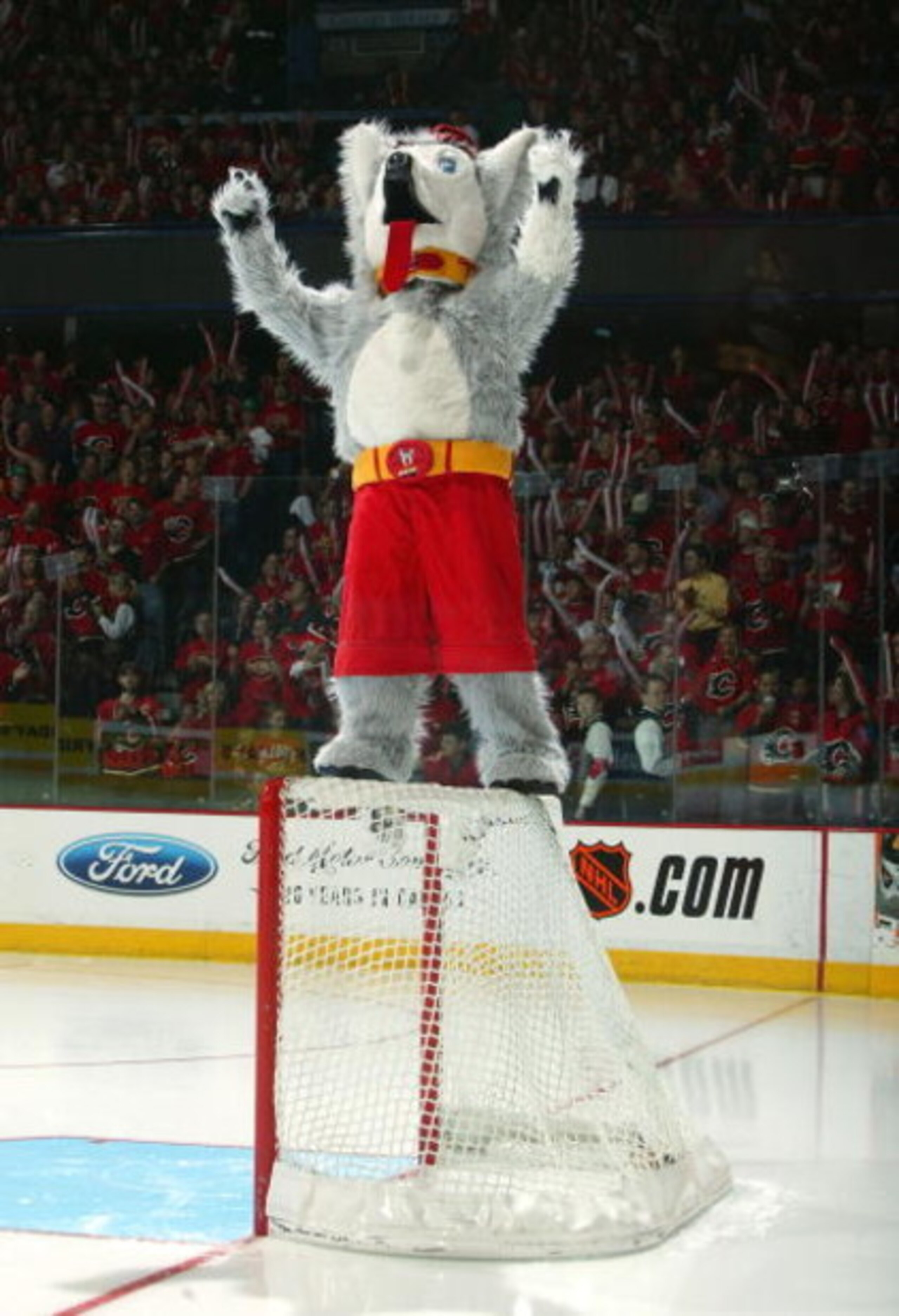 CALGARY, ALBERTA - MAY 16:  Mascot of the Calgary Flames, Harvey the Hound, pumps up the crowd before Game four of the 2004 NHL Western Conference Finals against the San Jose Sharks on May 16, 2004 at the Pengrowth Saddledome in Calgary, Alberta, Canda.  