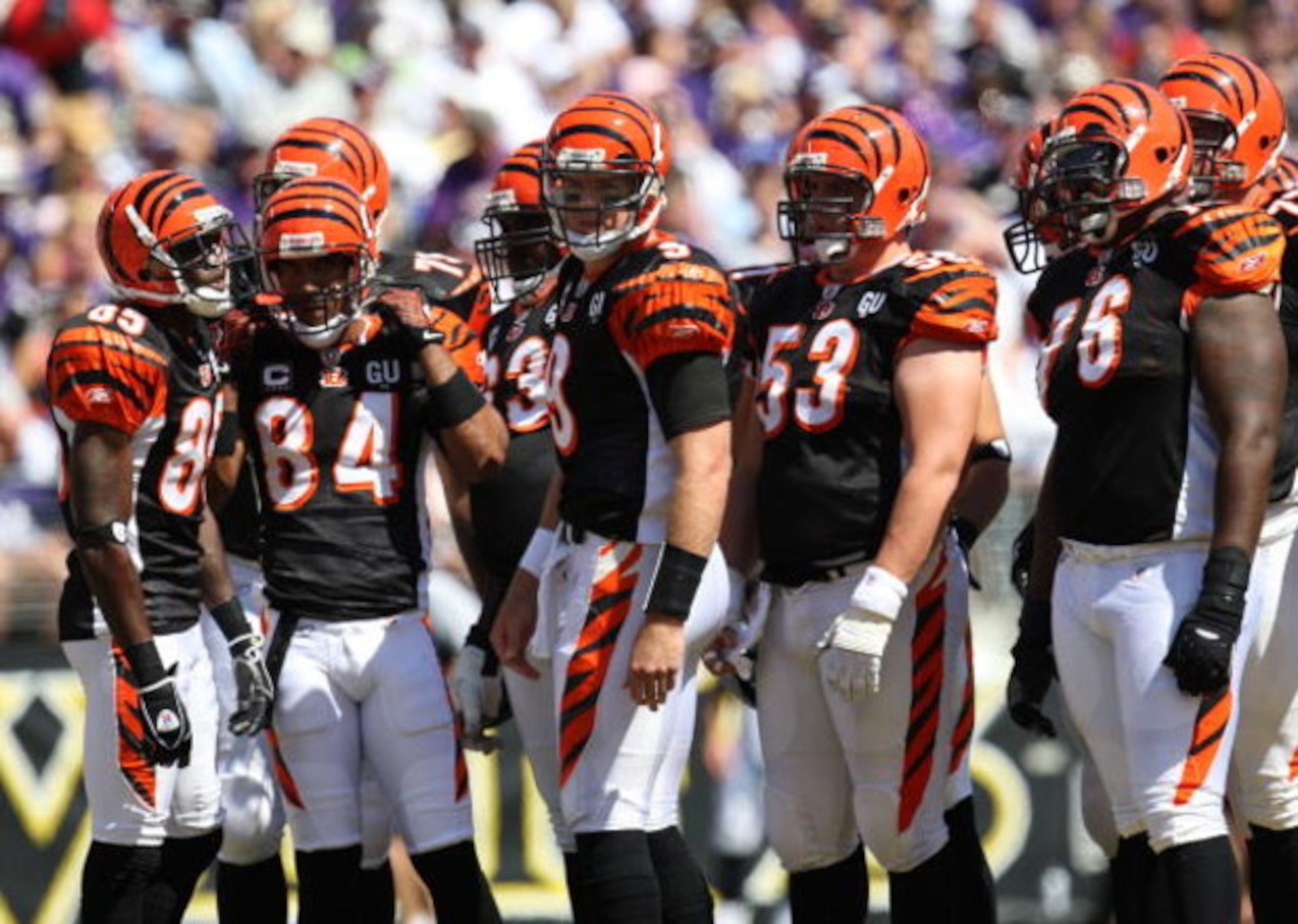 BALTIMORE - SEPTEMBER 7: Quarterback Carson Palmer #5 of the Cincinnati Bengals looks to the sideline against the Baltimore Ravens at M&T Bank Stadium on September 7, 2008 in Baltimore, Maryland. The Ravens won 17-10. (Photo by Ned Dishman/Getty Images)