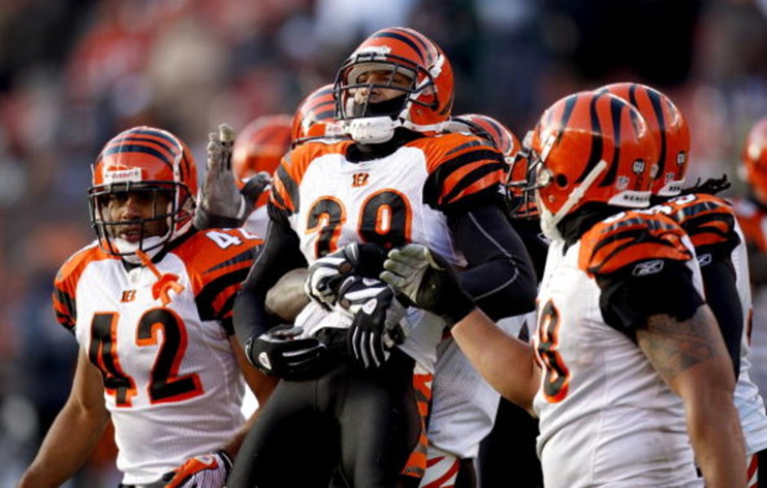 CLEVELAND - DECEMBER 21:  Leon Hall #29 of the Cincinnati Bengals is congratulated by teammates after his third interception while playing the Cleveland Browns at Cleveland Browns Stadium December 21, 2008 in Cleveland, Ohio.  (Photo by Gregory Shamus/Get
