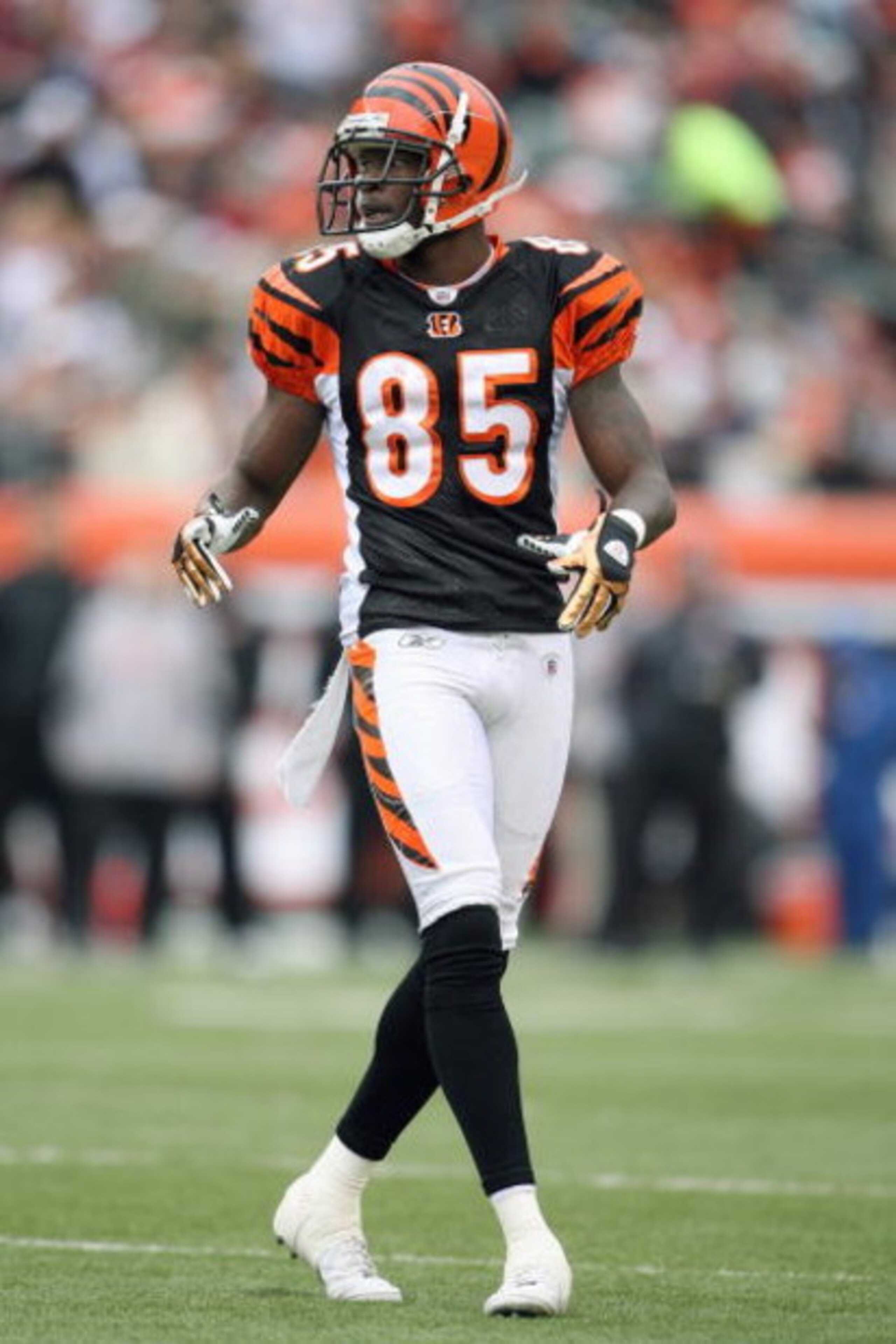 CINCINNATI - DECEMBER 14:  Chad Johnson #85 of the Cincinnati Bengals moves on the field during the NFL game against the Washington Redskins on December 14, 2008 at Paul Brown Stadium in Cincinnati, Ohio. The Bengals won 20-13. (Photo by Andy Lyons/Getty 