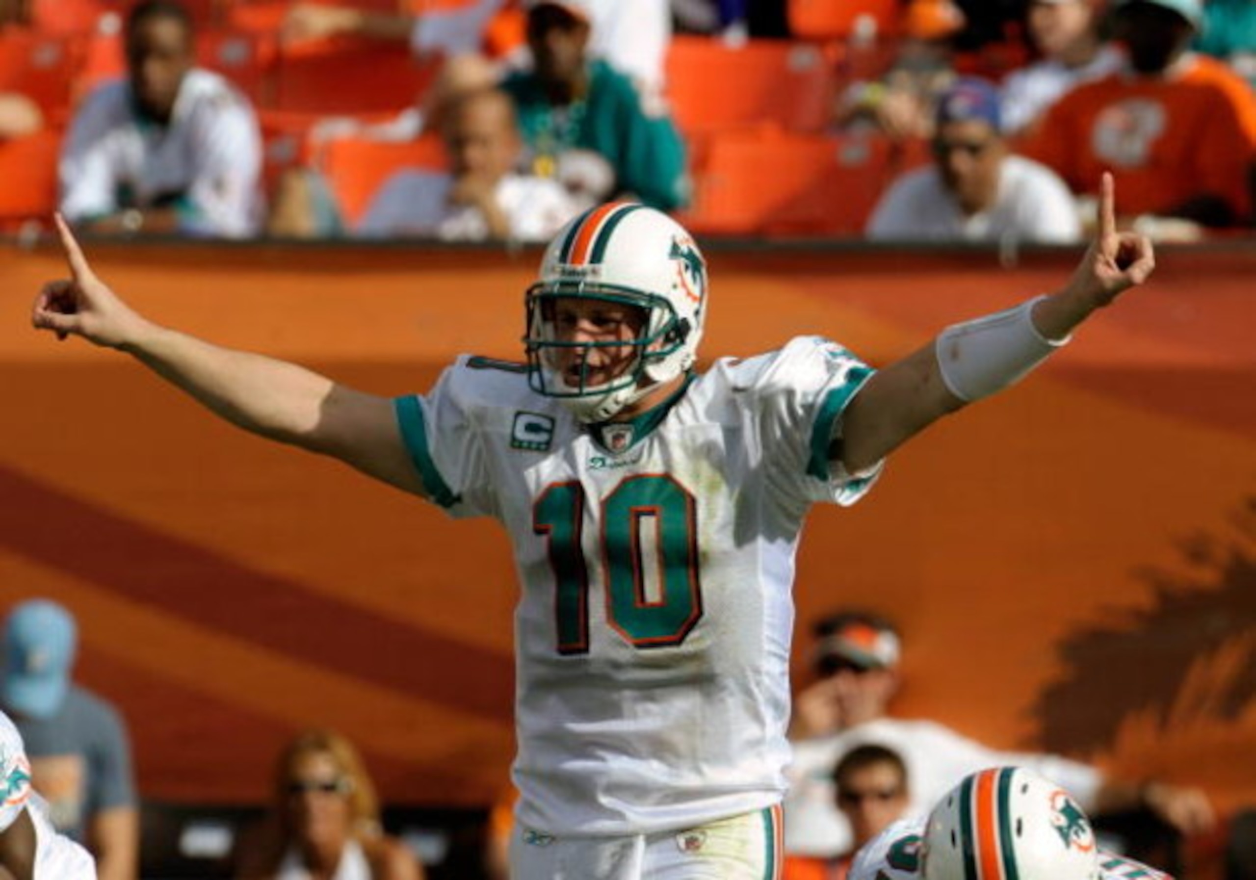MIAMI, FL - JANUARY 4:  Quarterback Chad Pennington #10 of the Miami Dolphins directs play against the Baltimore Ravens during their AFC Wild Card Game at Dolphins Stadium on January 4, 2009 in Miami, Floirda.  (Photo by Al Messerschmidt/Getty Images)