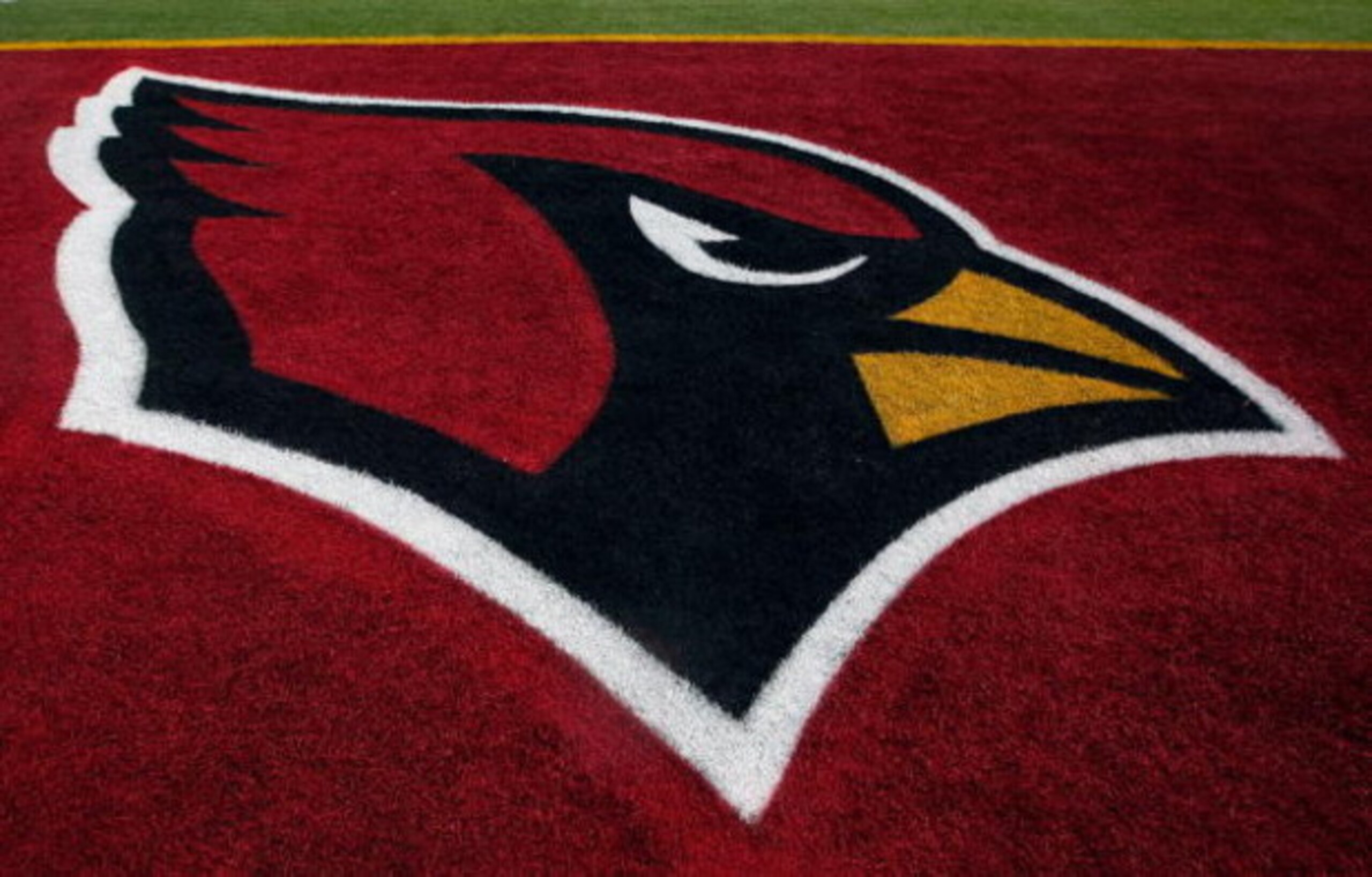 TAMPA, FL - FEBRUARY 01: The Arizona Cardinals logo is seen in the end zone before Super Bowl XLIII on February 1, 2009 at Raymond James Stadium in Tampa, Florida. (Photo by Jamie Squire/Getty Images) TAMPA, FL - FEBRUARY 01: The Arizona Cardinals logo is seen in the end zone before Super Bowl XLIII on February 1, 2009 at Raymond James Stadium in Tampa, Florida. (Photo by Jamie Squire/Getty Images)