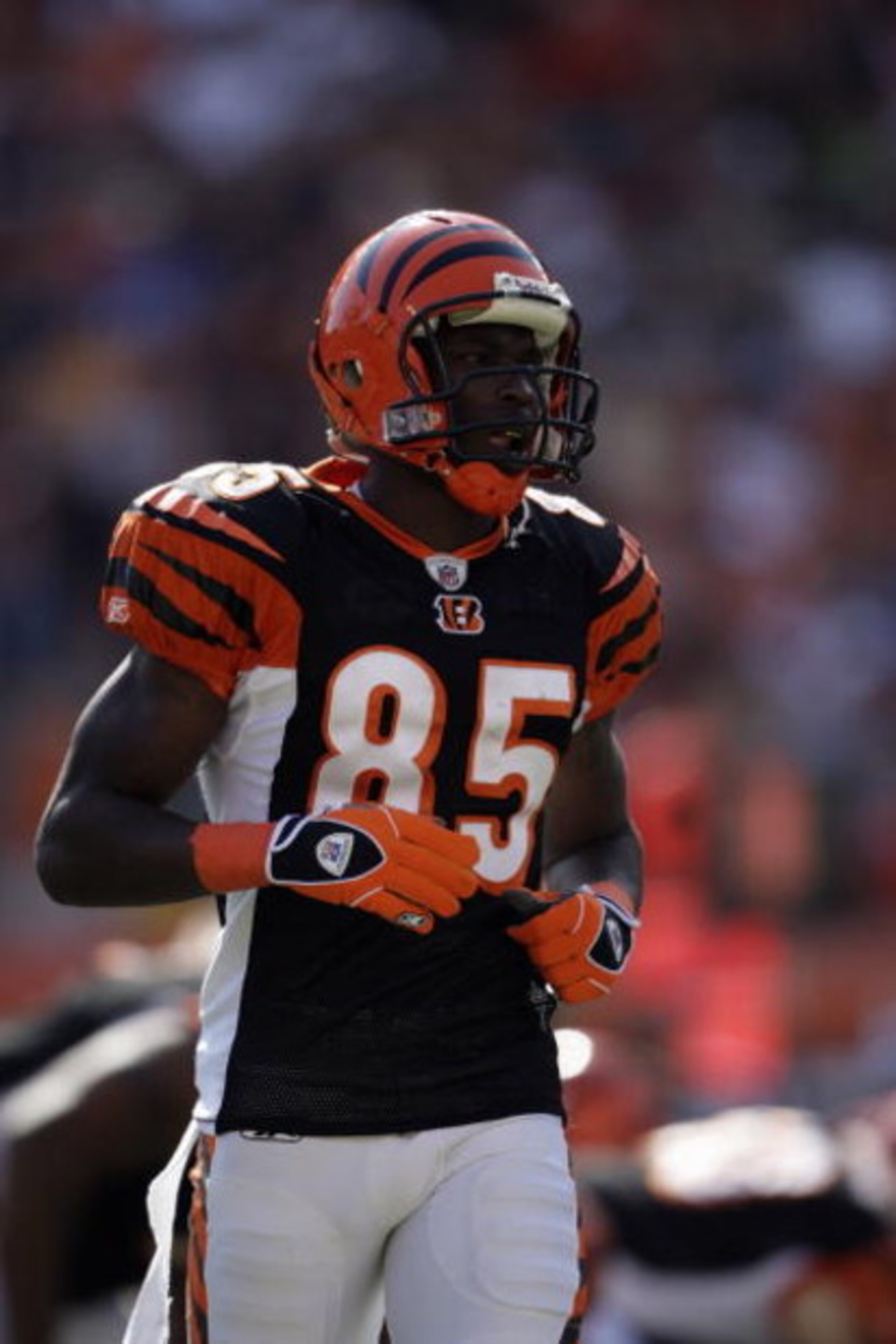 CINCINNATI - SEPTEMBER 28:  Chad Johnson #85 of the Cincinnati Bengals looks on during the game against the Cleveland Browns on September 28, 2008 at Paul Brown Stadium in Cincinnati, Ohio. (Photo by Andy Lyons/Getty Images)