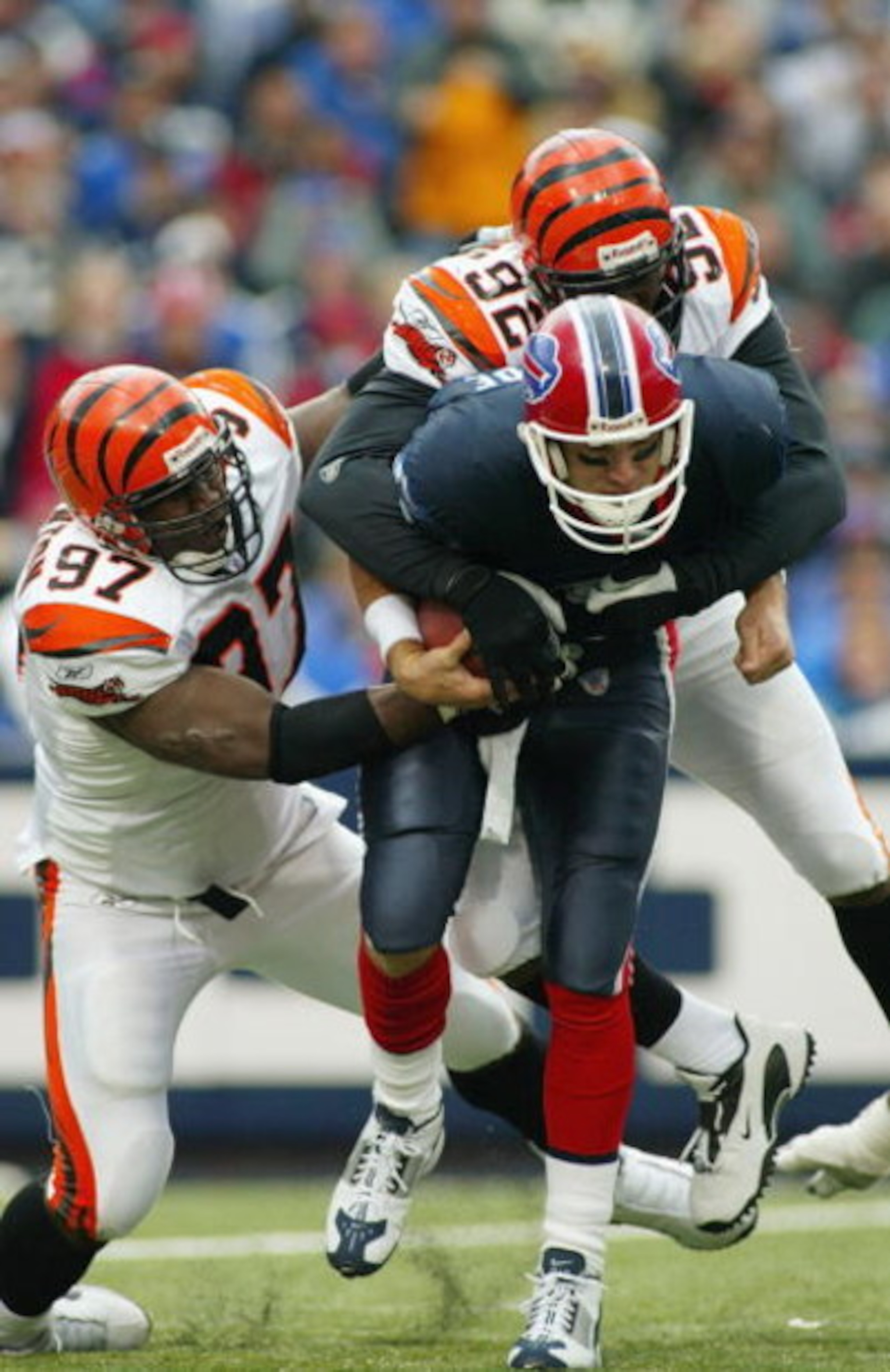 ORCHARD PARK, NY - OCTOBER 5:  John Thornton #97 and Duane Clemons #92 of the Cincinnati Bengals sack Drew Bledsoe #11 of the Buffalo Bills on October 5, 2003 at Ralph Wilson Stadium in Orchard Park, New York.  The Bills defeated the Bengals 22-16. (Photo