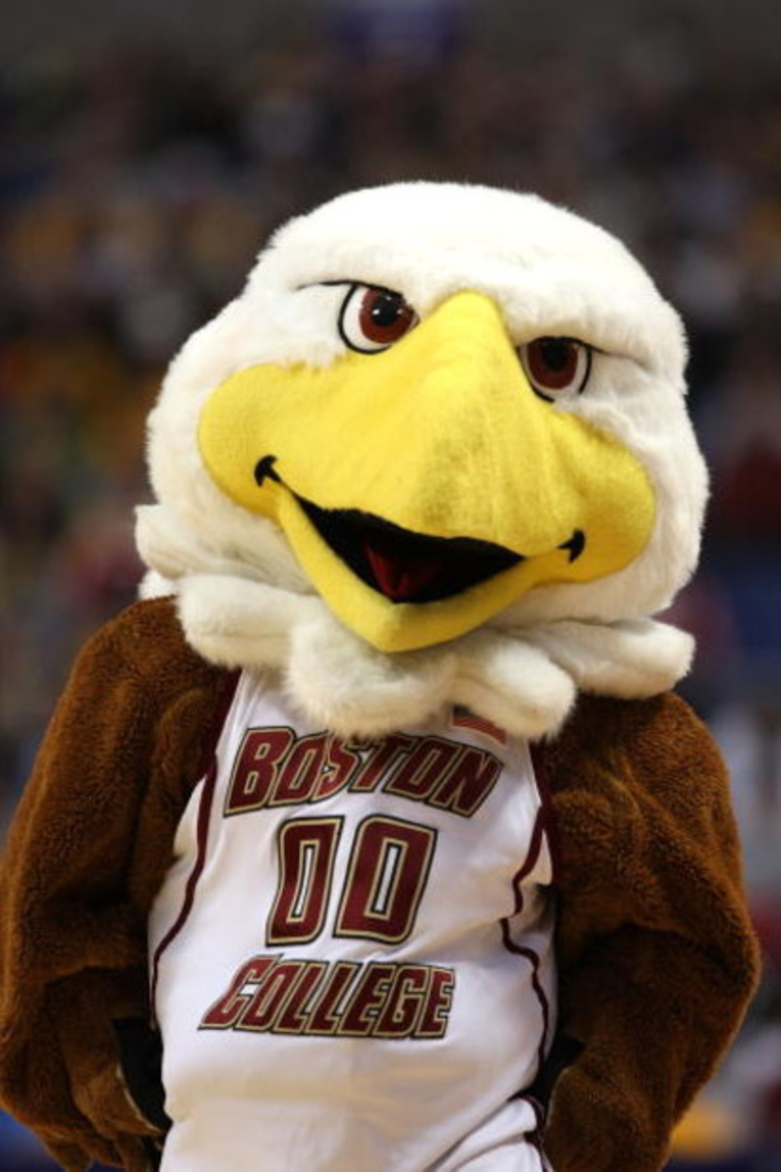 MINNEAPOLIS - MARCH 20:  Baldwin, the mascot of the Boston College Eagles against the USC Trojans during the first round of the NCAA Division I Men's Basketball Tournament at the Hubert H. Humphrey Metrodome on March 20, 2009 in Minneapolis, Minnesota. US