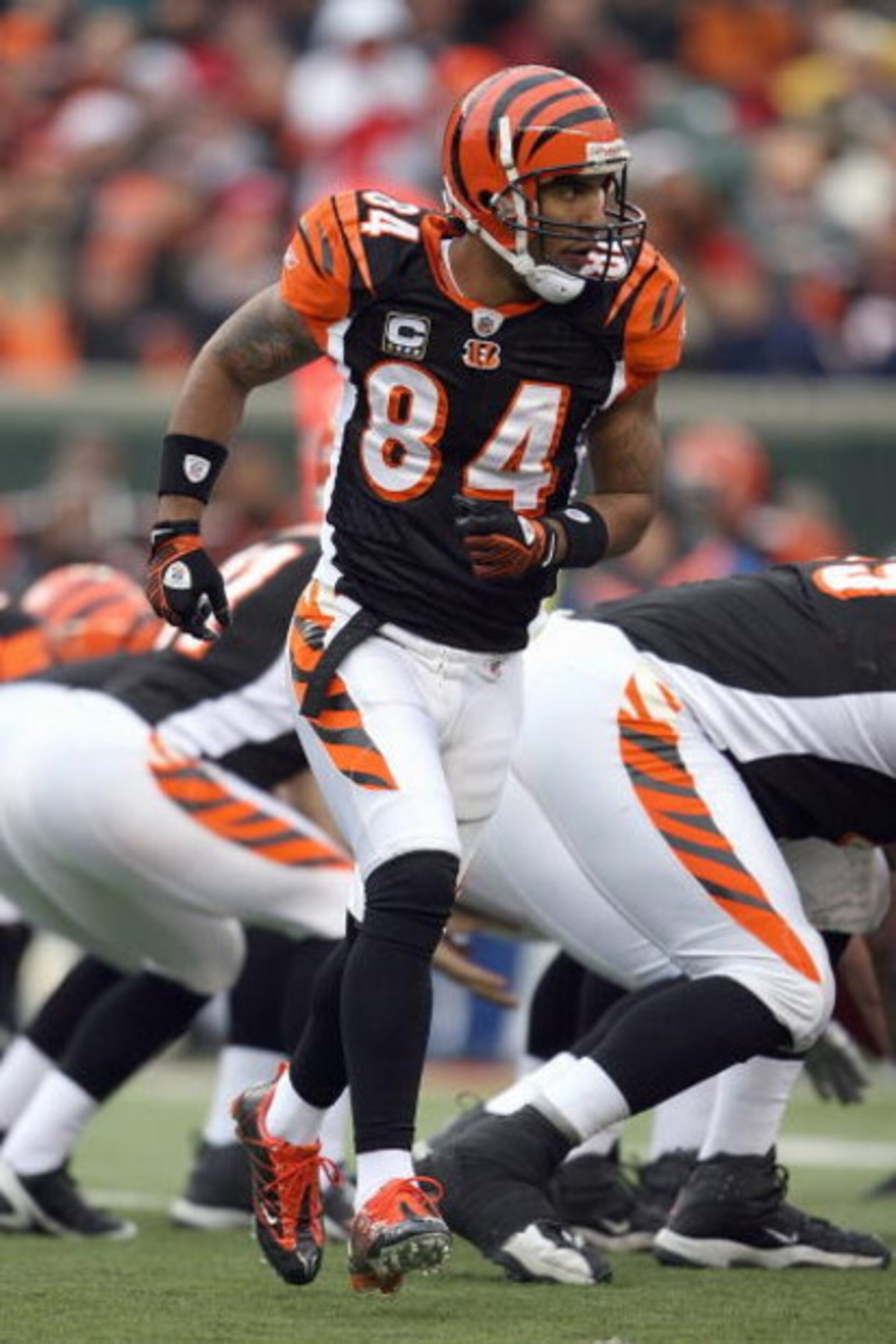 CINCINNATI - DECEMBER 14:  T.J. Houshmandzadeh #84 of the Cincinnati Bengals runs the pattern during the NFL game against the Washington Redskins on December 14, 2008 at Paul Brown Stadium in Cincinnati, Ohio. The Bengals won 20-13. (Photo by Andy Lyons/G
