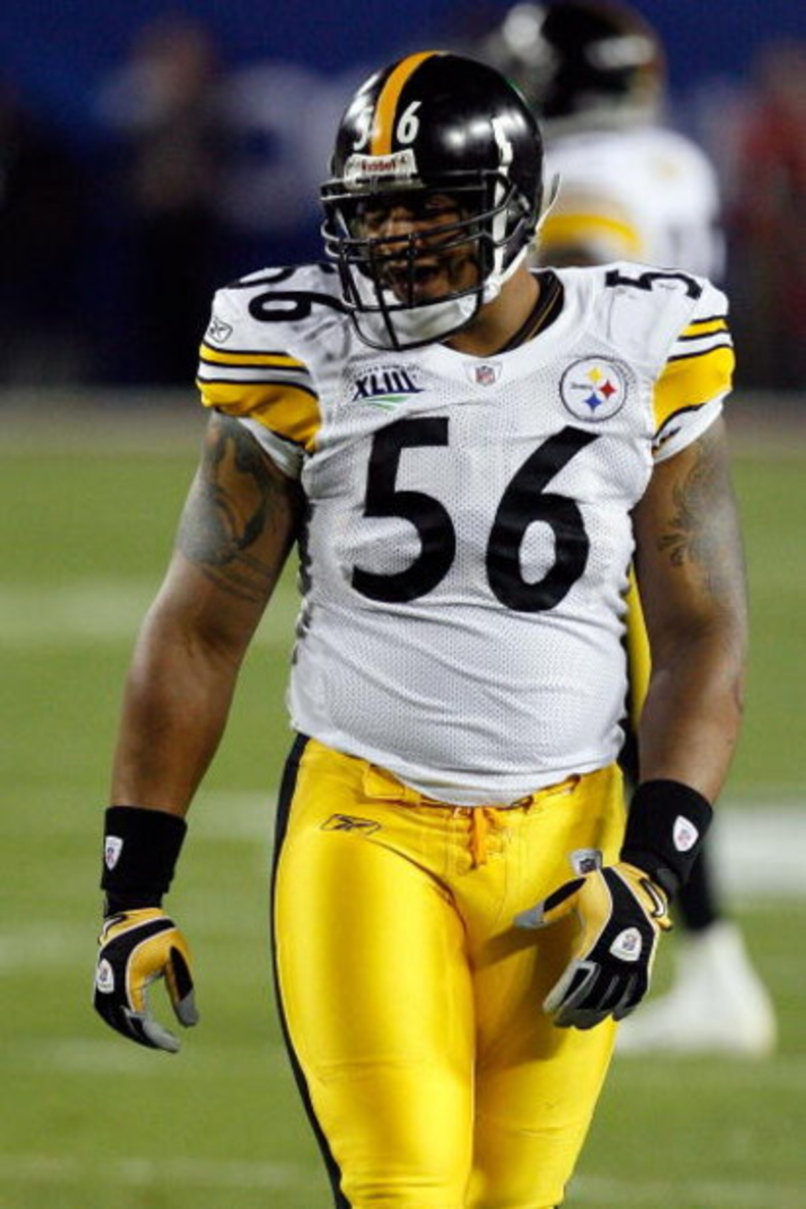 TAMPA, FL - FEBRUARY 01:  Linebacker LaMarr Woodley #56 of the Pittsburgh Steelers looks on against the Arizona Cardinals during Super Bowl XLIII on February 1, 2009 at Raymond James Stadium in Tampa, Florida.  (Photo by Kevin C. Cox/Getty Images)