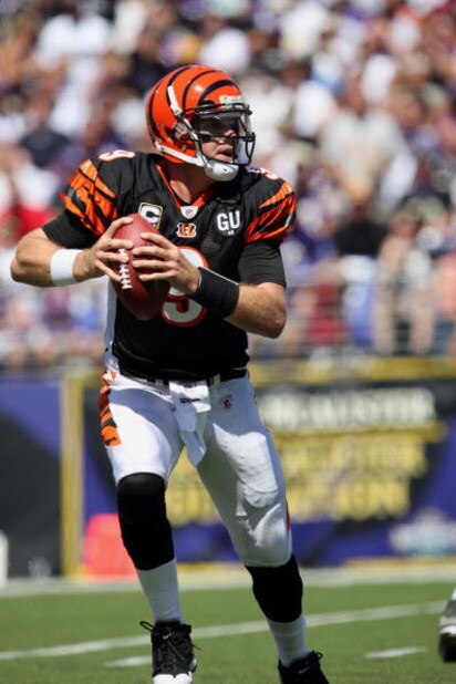 BALTIMORE - SEPTEMBER 7: Quarterback Carson Palmer #5 of the Cincinnati Bengals drops back to pass against the Baltimore Ravens at M&T Bank Stadium on September 7, 2008 in Baltimore, Maryland. The Ravens won 17-10. (Photo by Ned Dishman/Getty Images)
