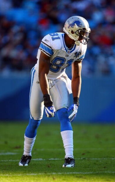 CHARLOTTE, NC - NOVEMBER 16:  Calvin Johnson #81 of the Detroit Lions lines up at the line of scrimmage during their NFL game against the Carolina Panthers at Bank of America Stadium on November 16, 2008  in Charlotte, North Carolina. The Panthers defeate