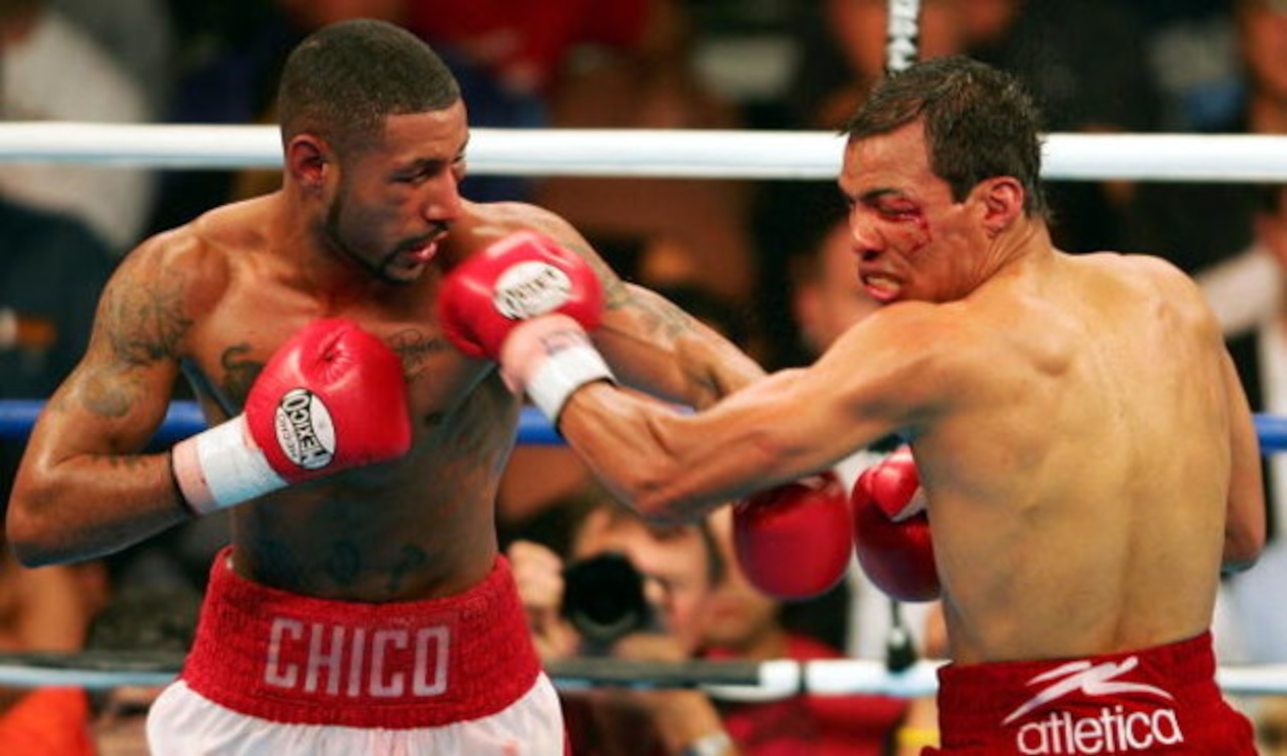 LAS VEGAS - MAY 7:   Diego Corrales lands a left hook on the face of Jose Luis Castillo during their World Lightweight Unification bout on May 7, 2005 at The Mandalay Bay in Las Vegas, Nevada. Corrales won the fight after the referee stopped the fight in 