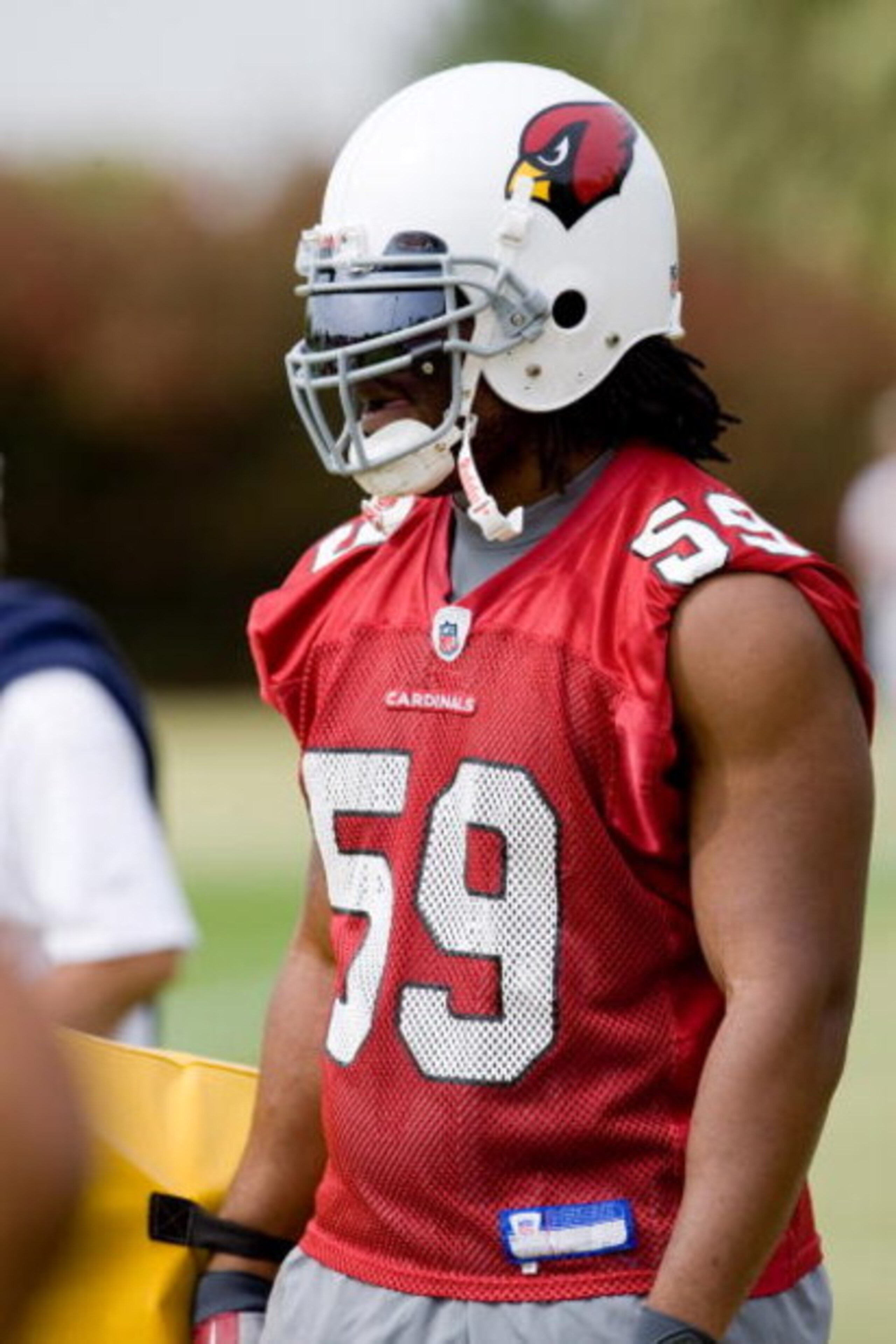TEMPE, AZ - MAY 1 :  Will Davis #59 of the Arizona Cardinals watches a drill during a team minicamp at the team training facility on May 1, 2009 in Tempe, Arizona.  (Photo by Jonathan Willey/Getty Images)