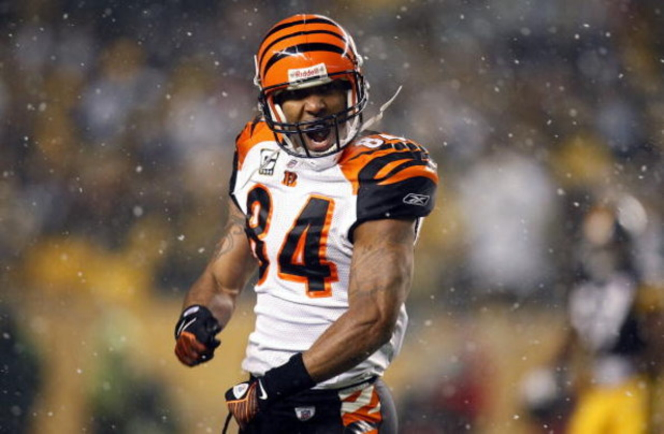 PITTSBURGH - NOVEMBER 20:  T.J. Houshmandzadeh #84 of the Cincinnati Bengals reacts after a play in which he thought he was interfered with during NFL action against the Pittsburgh Steelers on November 20, 2008 at Heinz Field in Pittsburgh, Pennsylvania. 