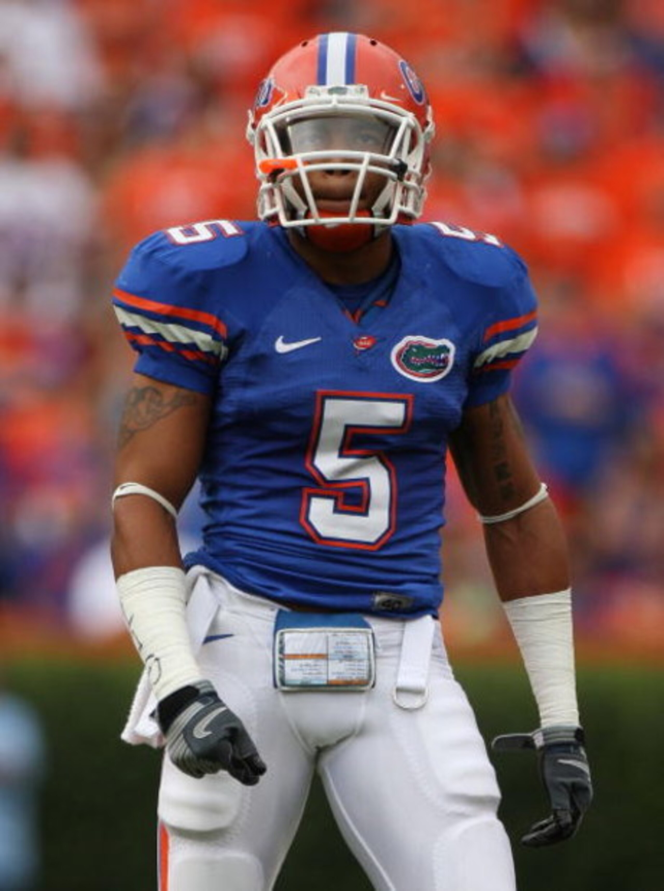 GAINESVILLE, FL - OCTOBER 25:  Joe Haden #5 of the Florida Gators in a game against the Kentucky Wildcats during at Ben Hill Griffin Stadium on October 25, 2008 in Gainesville, Florida.  (Photo by Sam Greenwood/Getty Images)