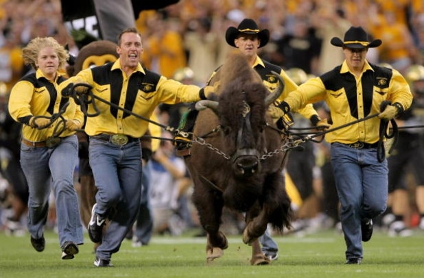 DENVER - AUGUST 31:  Ralphie IV, mascot for the University of Colorado Buffaloes is brought onto the field before they face  the Colorado State University Rams at Invesco Field at Mile High on August 31, 2008 in Denver, Colorado.  (Photo by Doug Pensinger