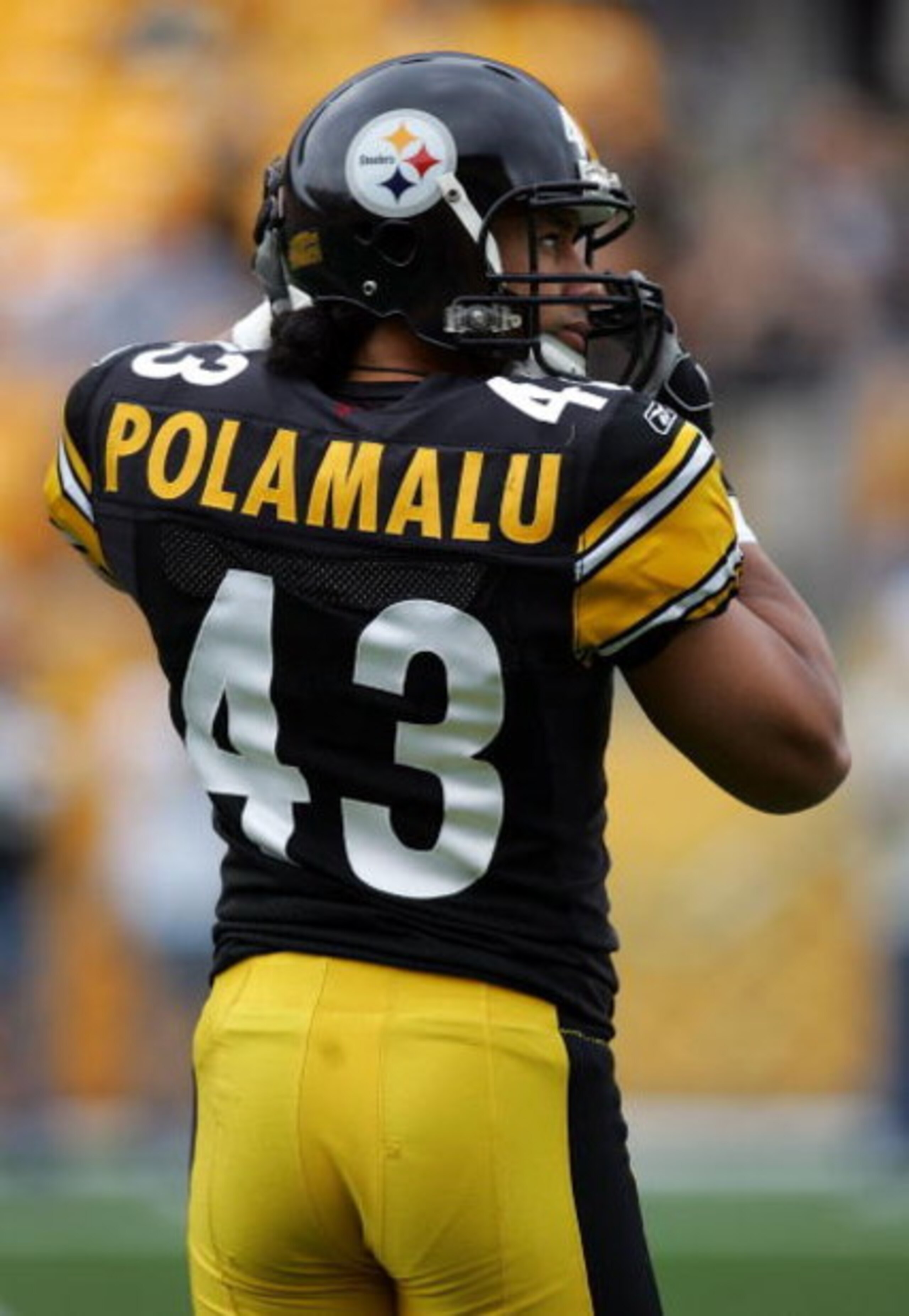 PITTSBURGH - SEPTEMBER 07:  Safety Troy Polamalu #43 of the Pittsburgh Steelers during play against the Houston Texans on September 7, 2008 at Heinz Field in Pittsburgh, Pennsylvania.  (Photo by Ronald Martinez/Getty Images)