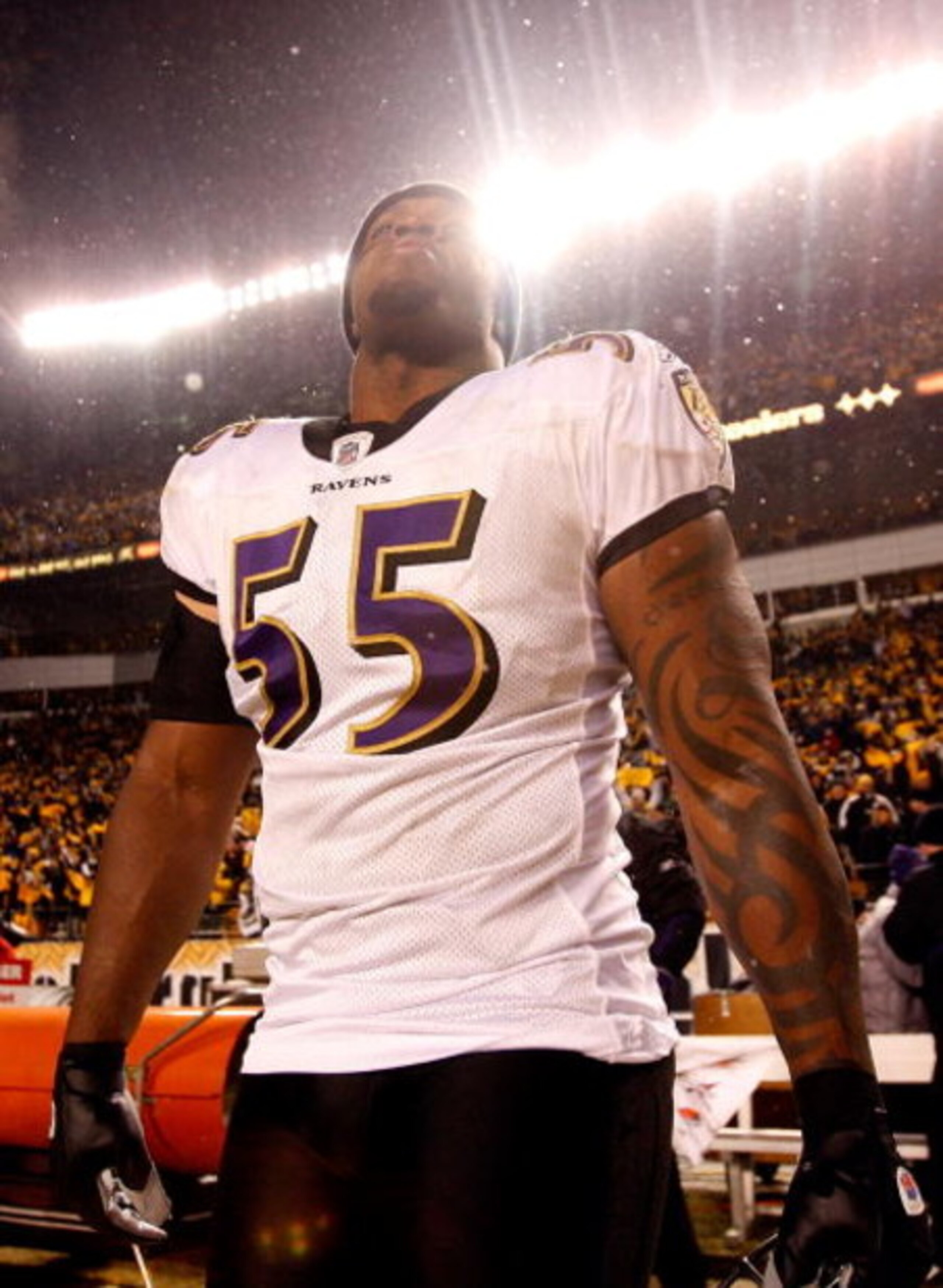 PITTSBURGH - JANUARY 18:  Terrell Suggs #55 of the Baltimore Ravens looks on dejected after their 23-14 loss against the Pittsburgh Steelers during the AFC Championship game on January 18, 2009 at Heinz Field in Pittsburgh, Pennsylvania.  (Photo by Street