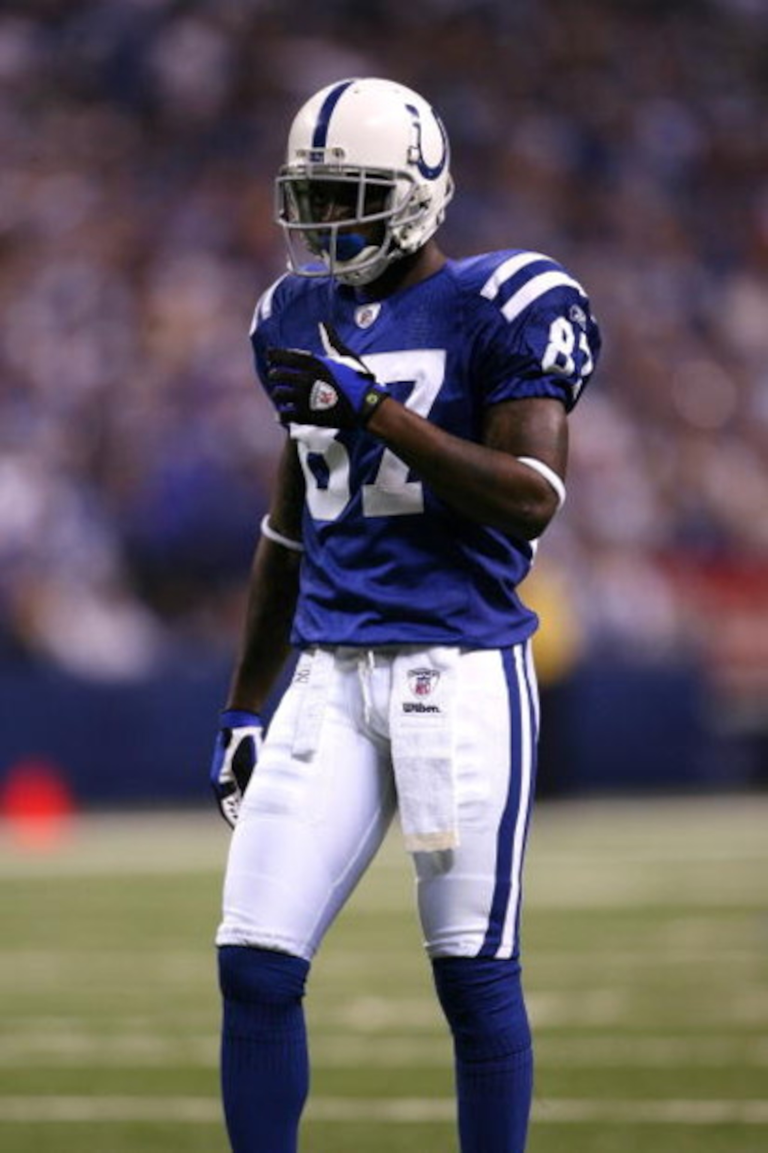 INDIANAPOLIS - NOVEMBER 02:  Reggie Wayne #87 of the Indianapolis Colts looks on against the New England Patriots at Lucas Oil Stadium on November 2, 2008 in Indianapolis, Indiana.  (Photo by Andy Lyons/Getty Images)