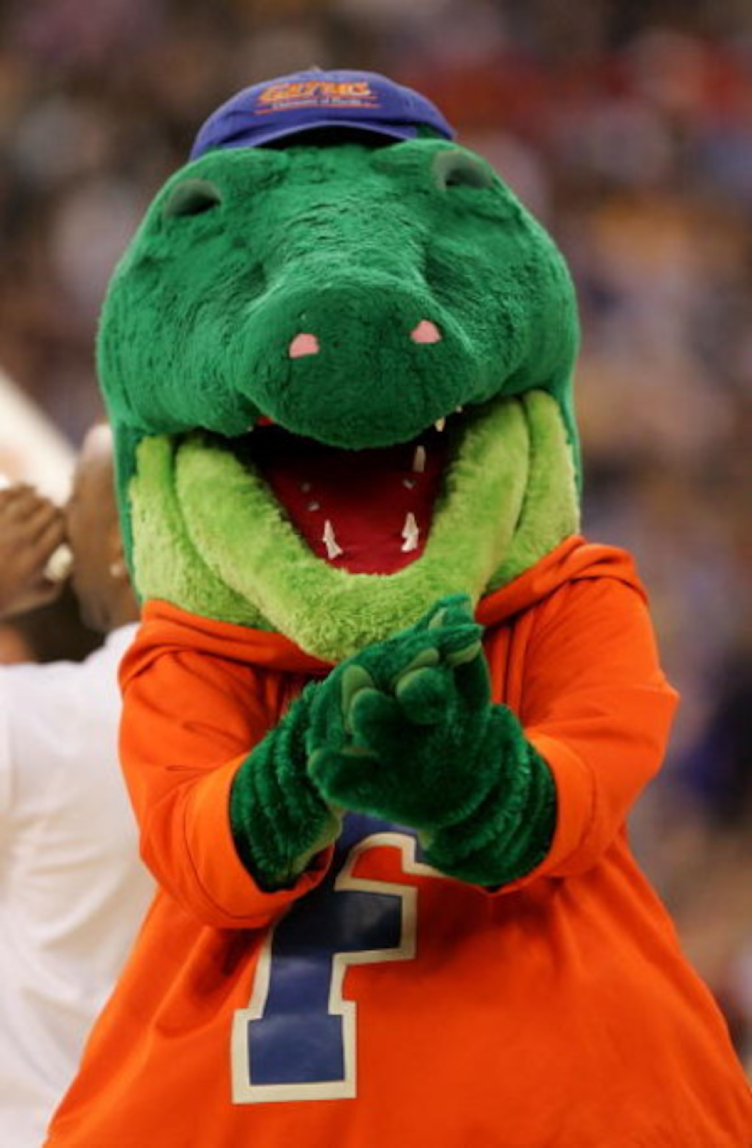 INDIANAPOLIS - APRIL 03:  The Florida Gators mascot claps during the game against the UCLA Bruins during the National Championship game of the NCAA Men's Final Four on April 3, 2006 at the RCA Dome in Indianapolis, Indiana. The Gators defeated the Bruins 