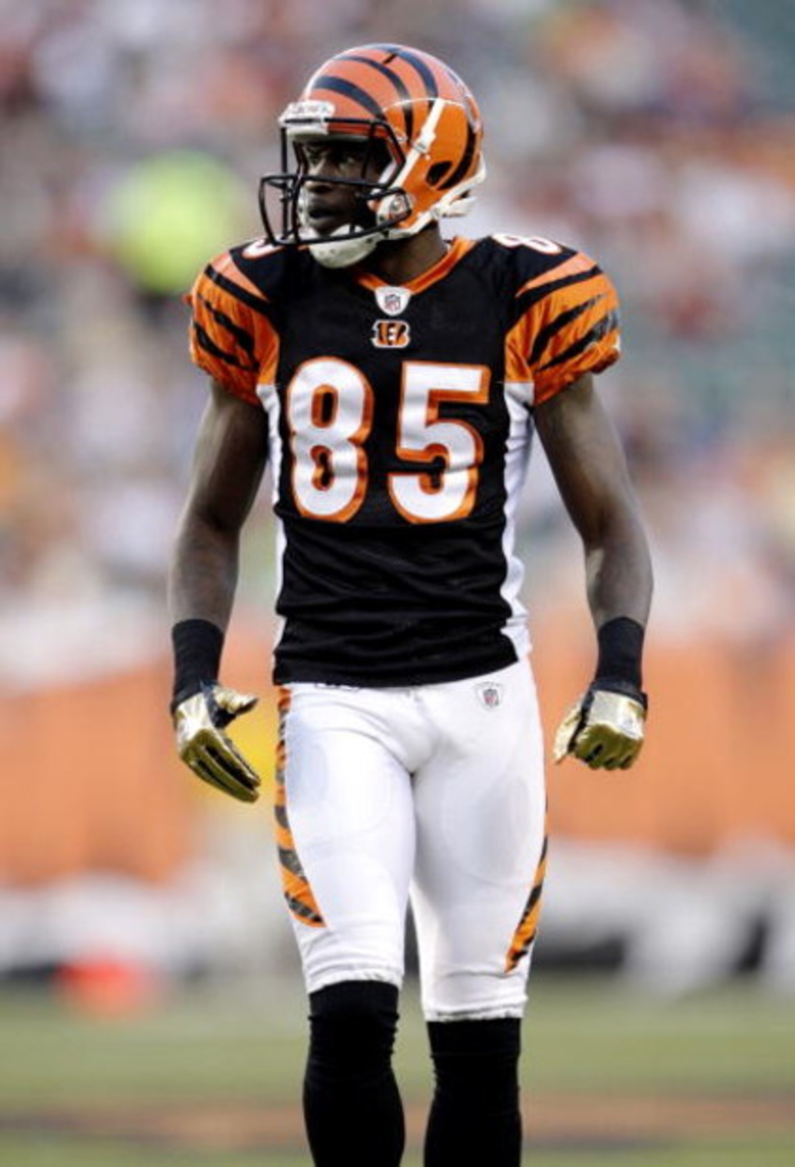 CINCINNATI, OH - AUGUST 3: Chad Ochocinco #85 of the Cincinnati Bengals stands on the field during the preseason game against the Indianapolis Colts on August 3, 2009 at Paul Brown Stadium in Cincinnati, Ohio. (Photo by Andy Lyons/Getty Images) CINCINNATI, OH - AUGUST 3: Chad Ochocinco #85 of the Cincinnati Bengals stands on the field during the preseason game against the Indianapolis Colts on August 3, 2009 at Paul Brown Stadium in Cincinnati, Ohio. (Photo by Andy Lyons/Getty Images)