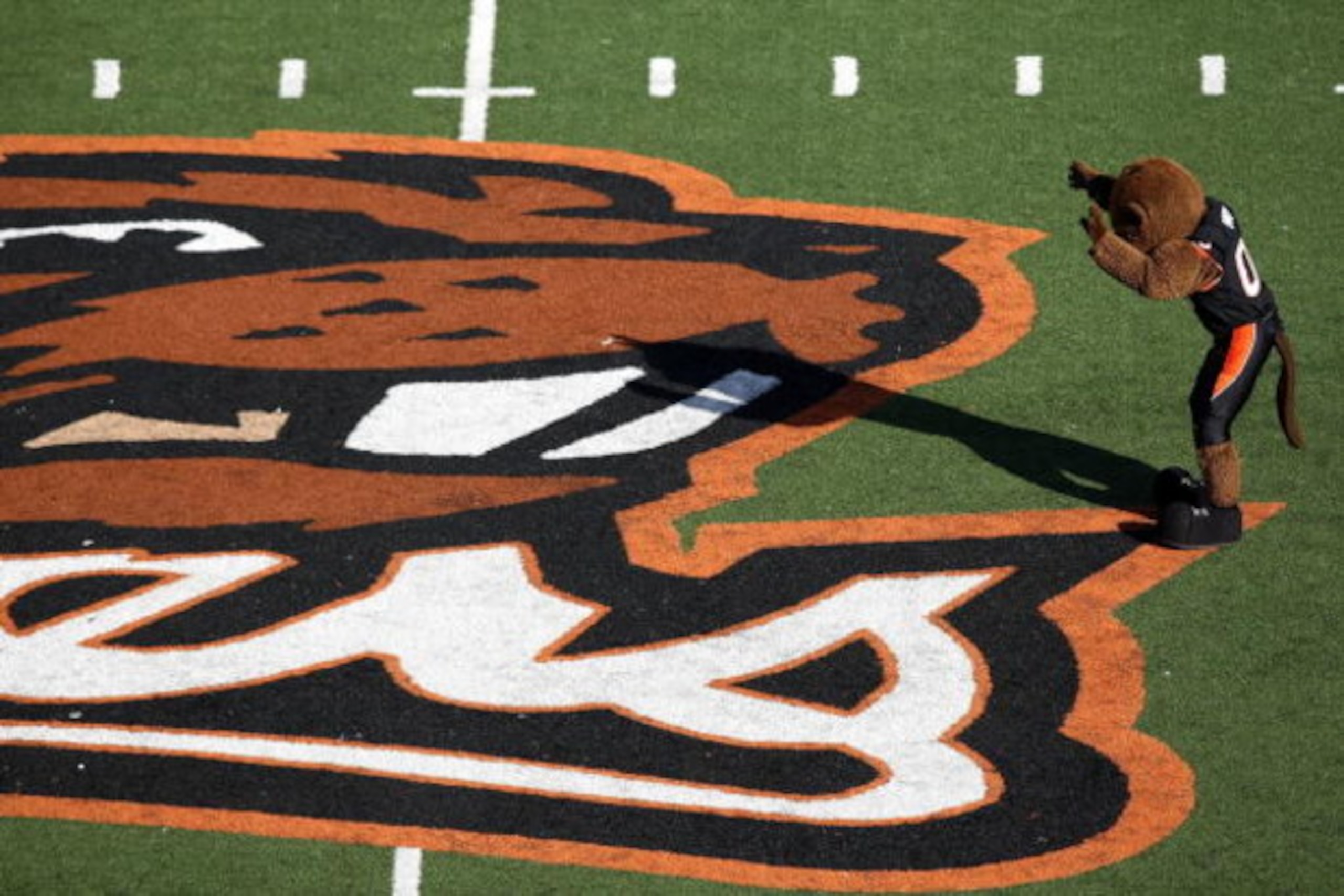 CORVALLIS, OR - NOVEMBER 15:  The mascot 'Benny' of the Oregon State Beavers performs on the field during the game against California at Reser Stadium on November 15, 2008 in Corvalis, Oregon.  (Photo by Jonathan Ferrey/Getty Images)