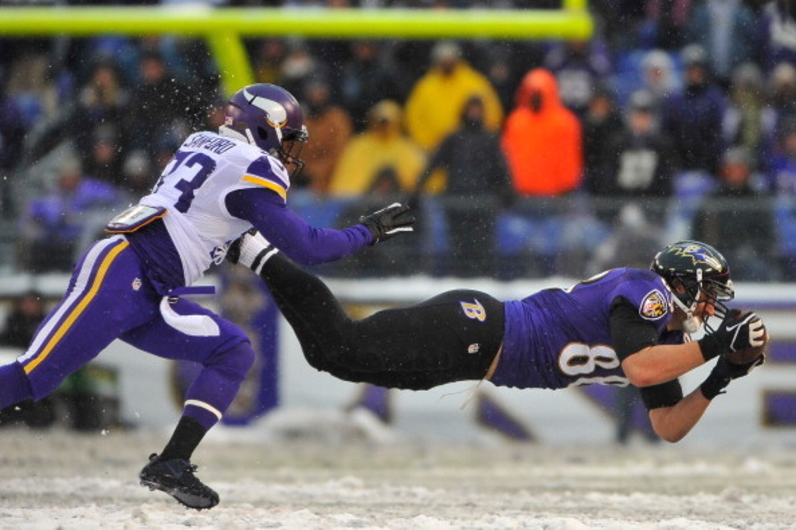 BALTIMORE, MD - DECEMBER 08:  Tight end Dennis Pitta #88 of the Baltimore Ravens makes a catch during the game against the Minnesota Vikings at M&T Bank Stadium on December 8, 2013 in Baltimore, Maryland. The Ravens defeated the Vikings 29-26.  (Photo by 