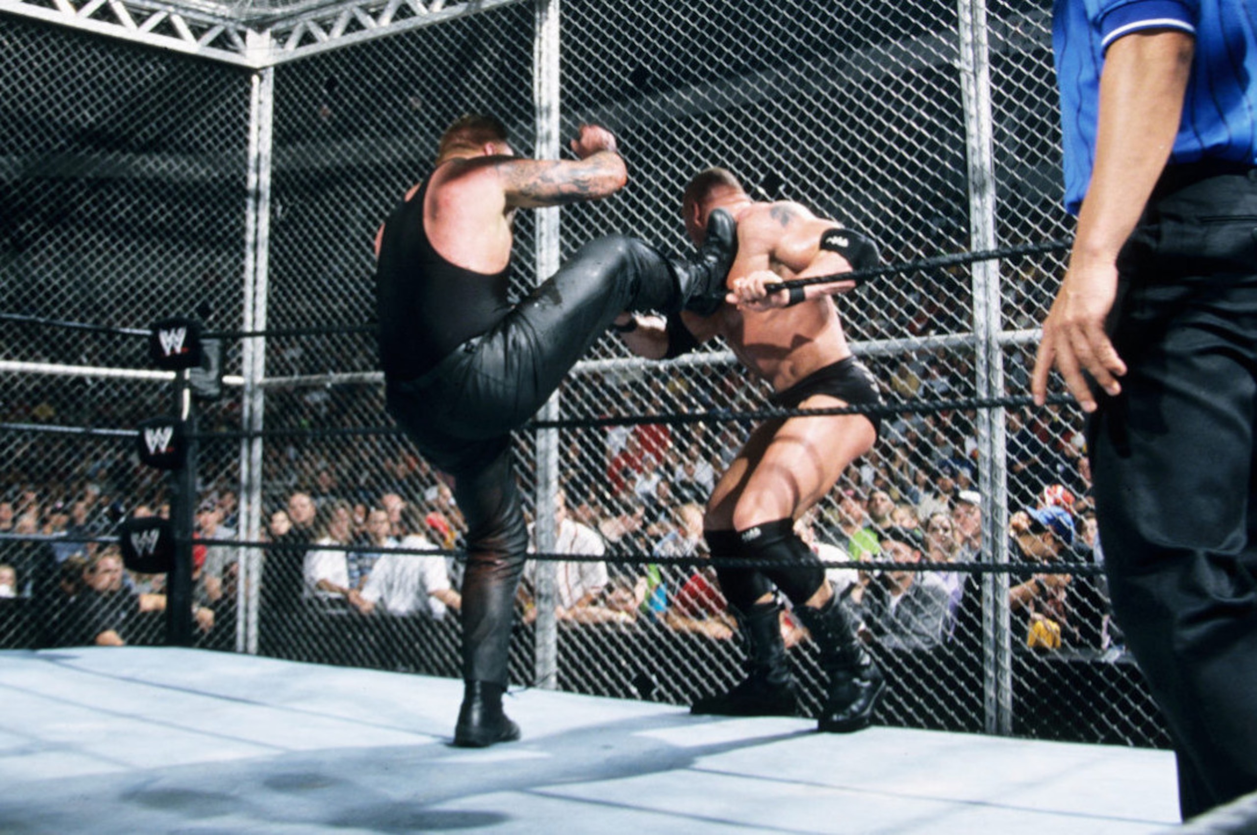 The Undertaker vs. Brock Lesnar rematch may not happen.