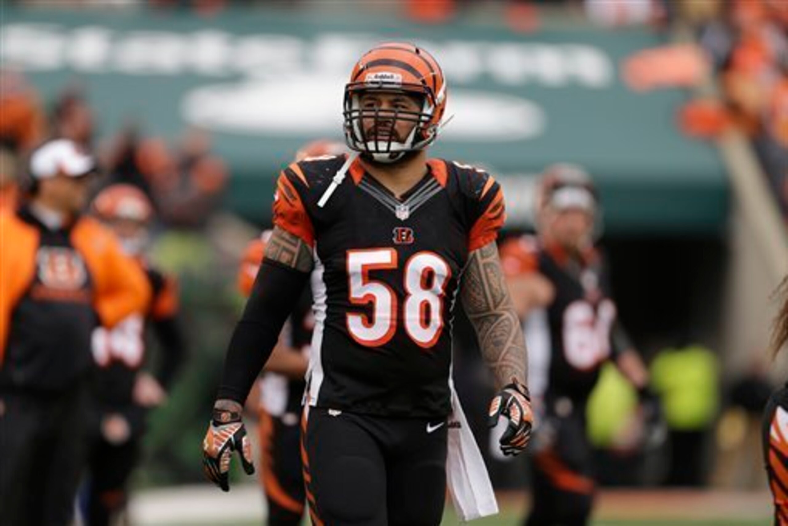 Rey Maualuga is an unrestricted free agent in 2015; Vincent Rey could replace him as starting middle linebacker at that time.