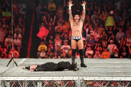 Punk at Hell in a Cell last year.