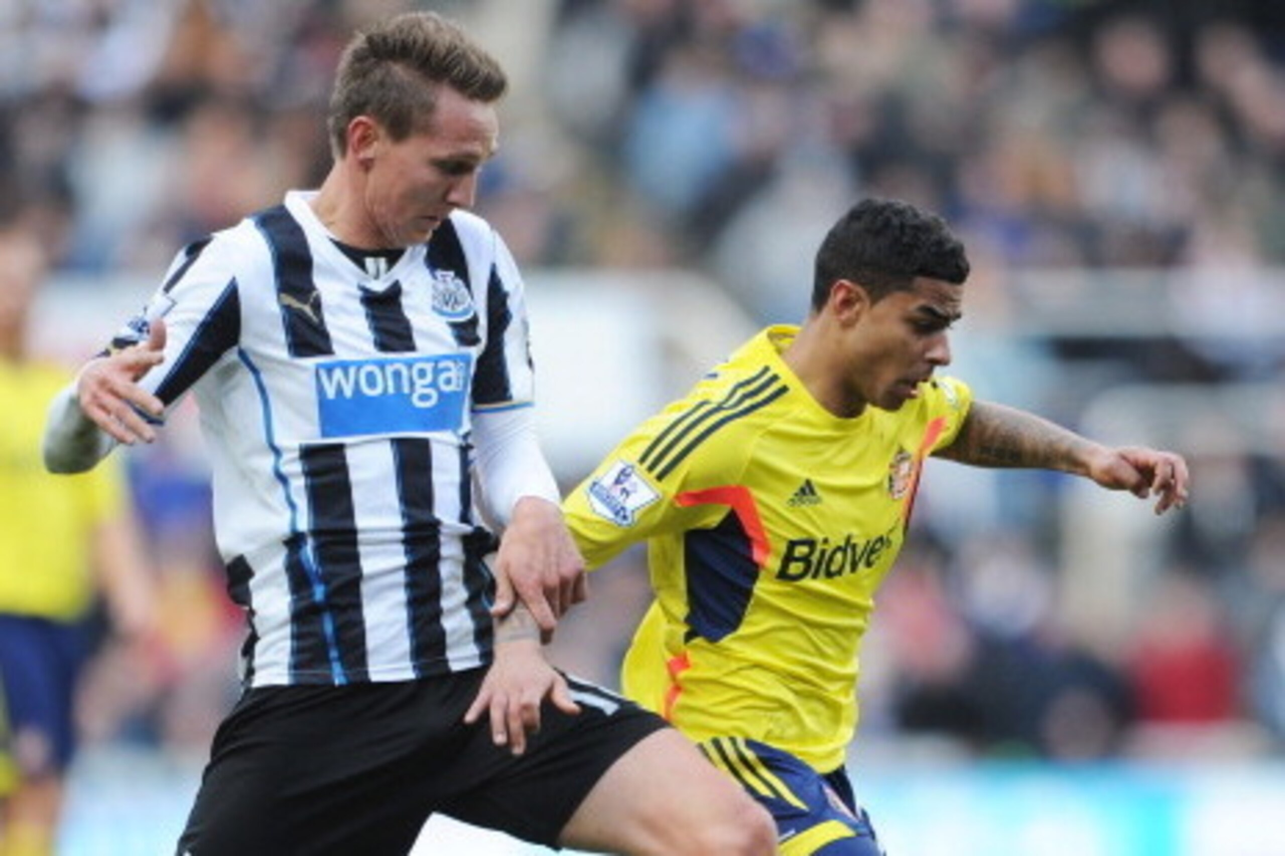 NEWCASTLE UPON TYNE, ENGLAND - FEBRUARY 01:  Liam Bridcutt of Sunderland is challenged by Michael Williamson of Newcastle during the Barclays Premier League match between Newcastle United and Sunderland at St James' Park on February 1, 2014 in Newcastle u