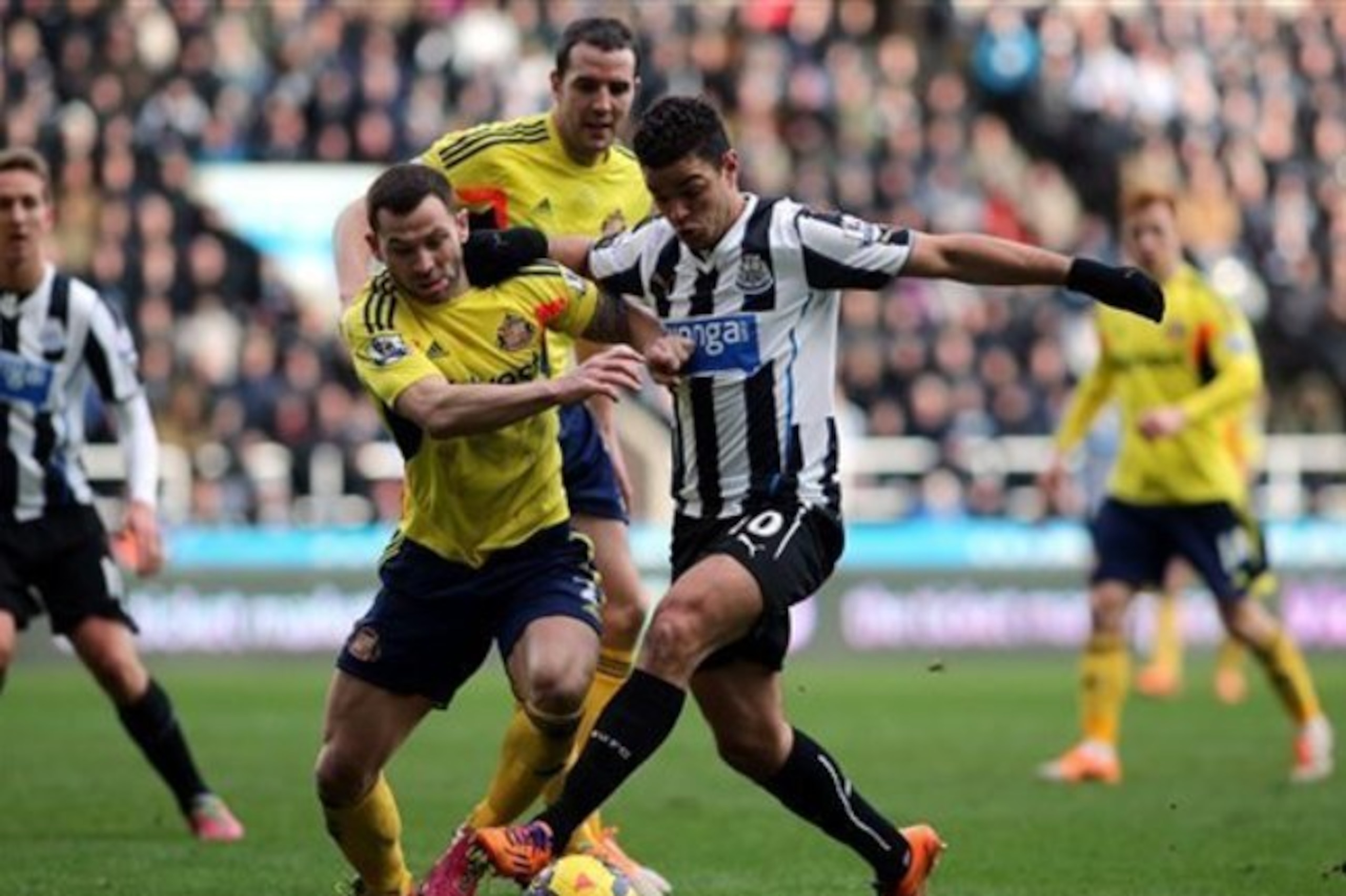 Hatem Ben Arfa and the Magpies suffered a very embarrassing home defeat to rivals Sunderland in the Tyne-Wear derby last weekend. Hatem Ben Arfa and the Magpies suffered a very embarrassing home defeat to rivals Sunderland in the Tyne-Wear derby last weekend.