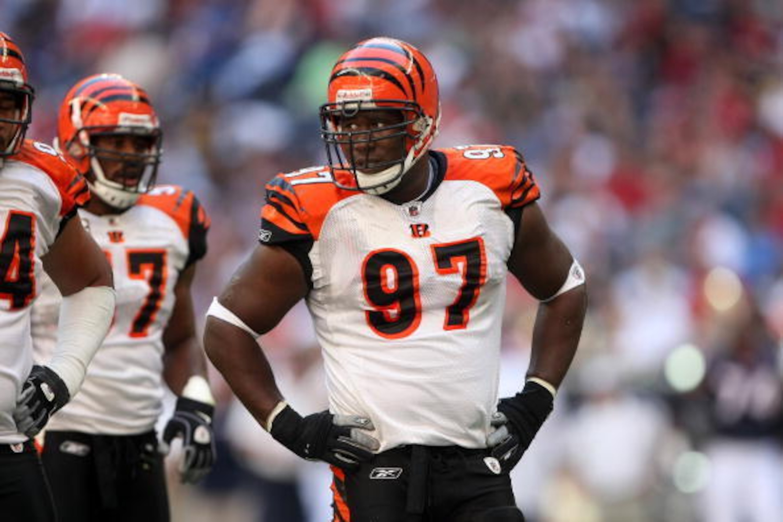 HOUSTON - OCTOBER 26:  Defensive tackle John Thornton #97 of the Cincinnati Bengals waits for play against the Houston Texans on October 26, 2008 at Reliant Stadium in Houston, Texas.  (Photo by Stephen Dunn/Getty Images)